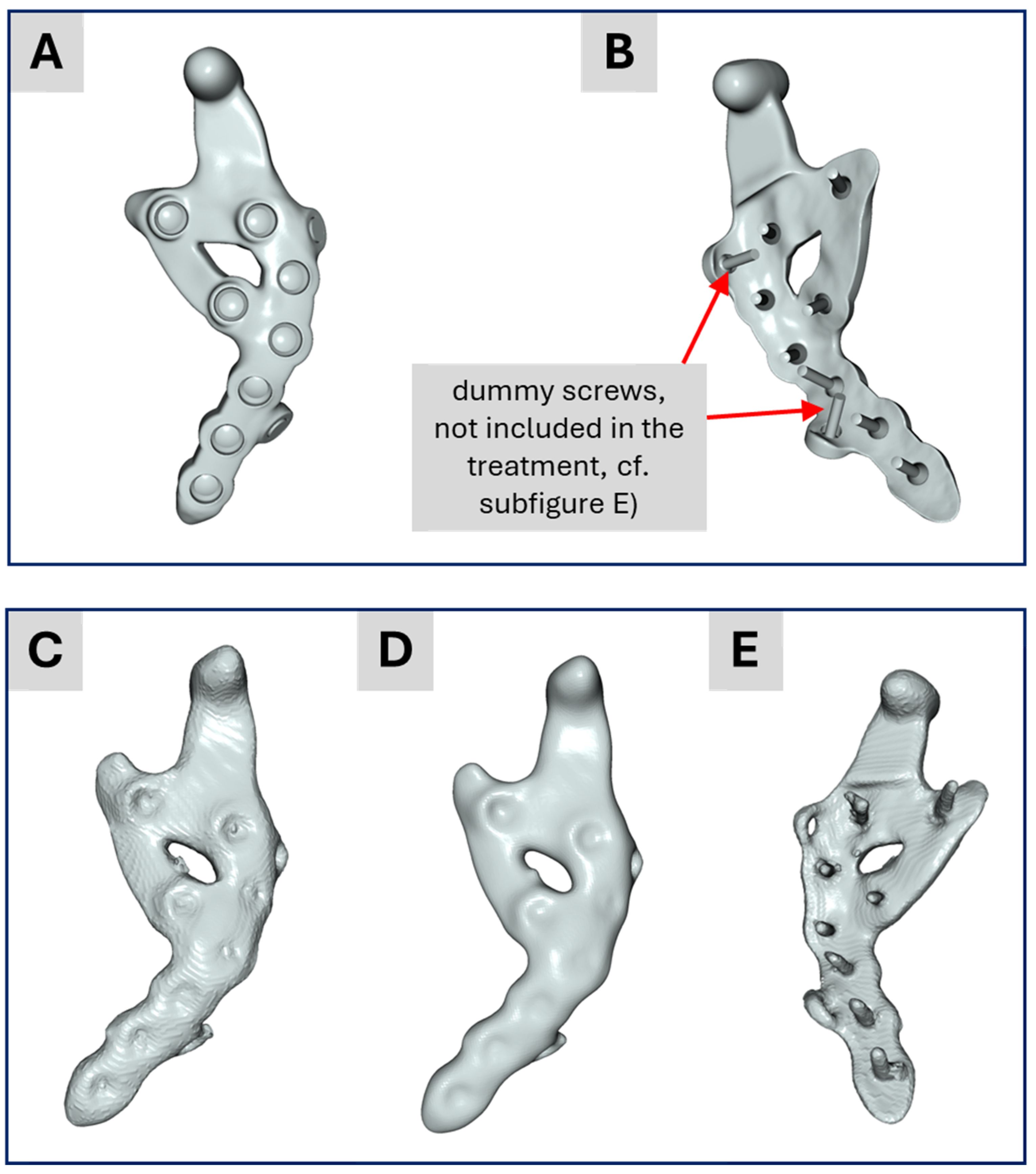 Bioengineering 12 00545 g007