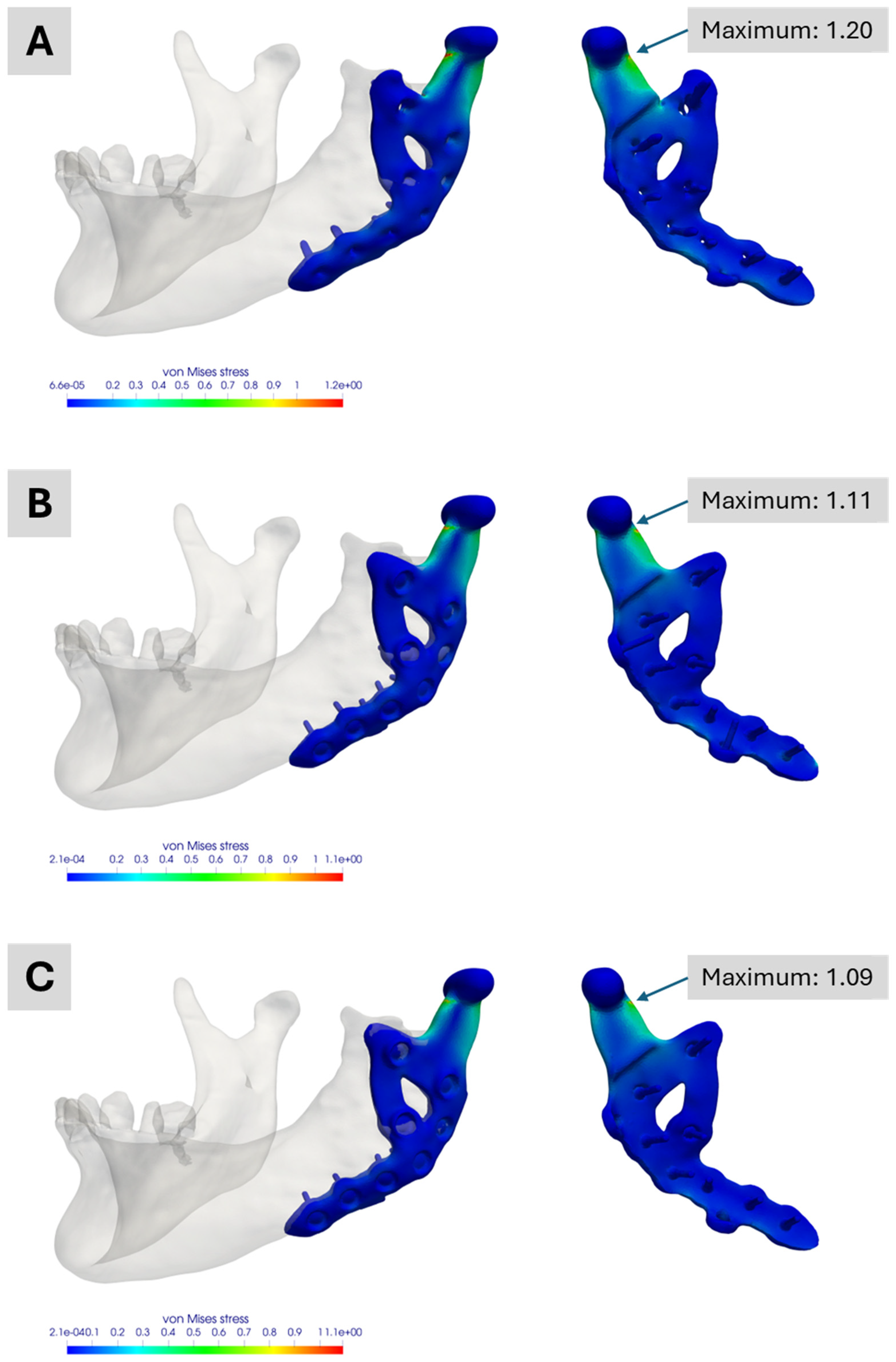 Bioengineering 12 00545 g009