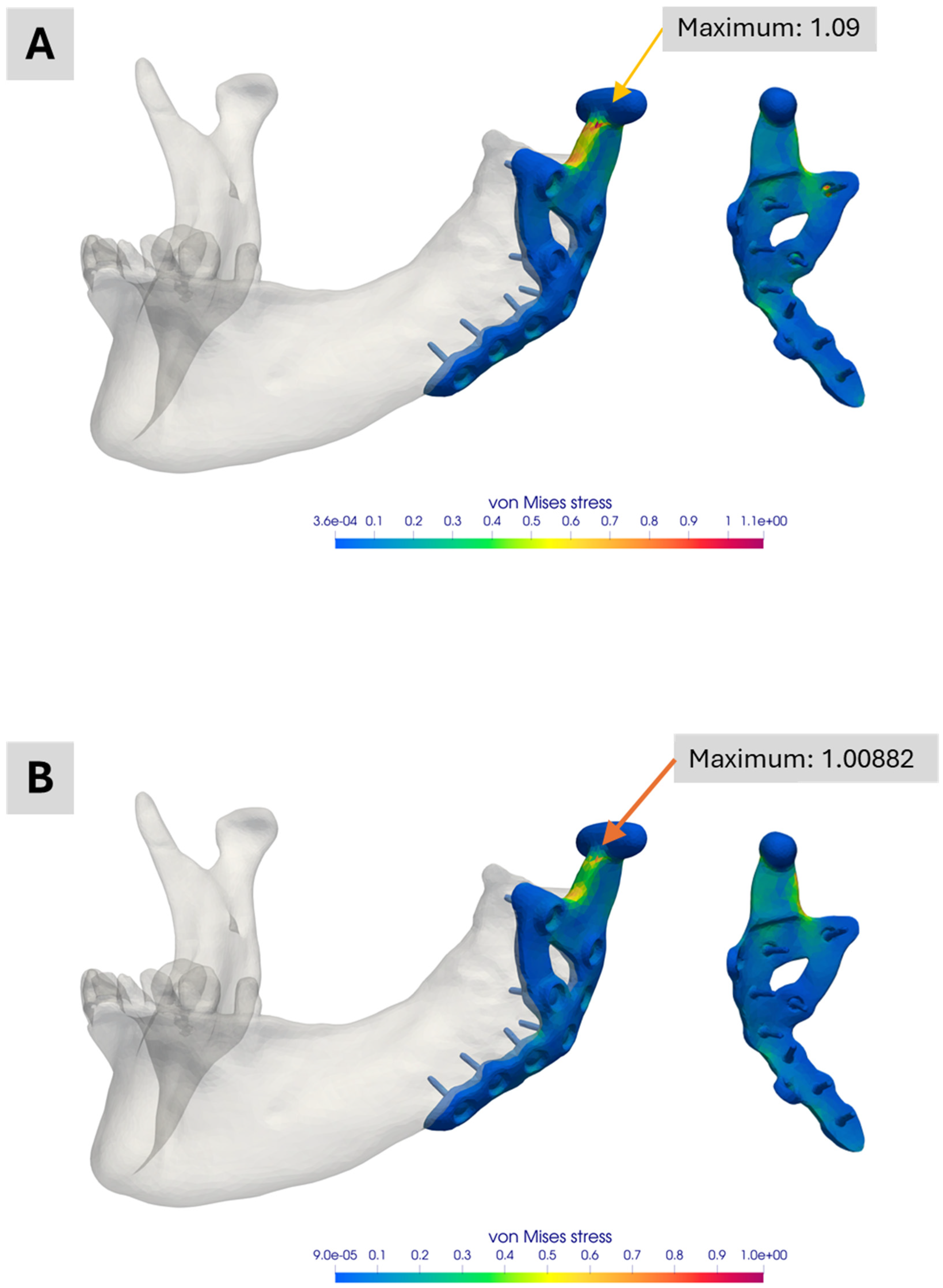 Bioengineering 12 00545 g010