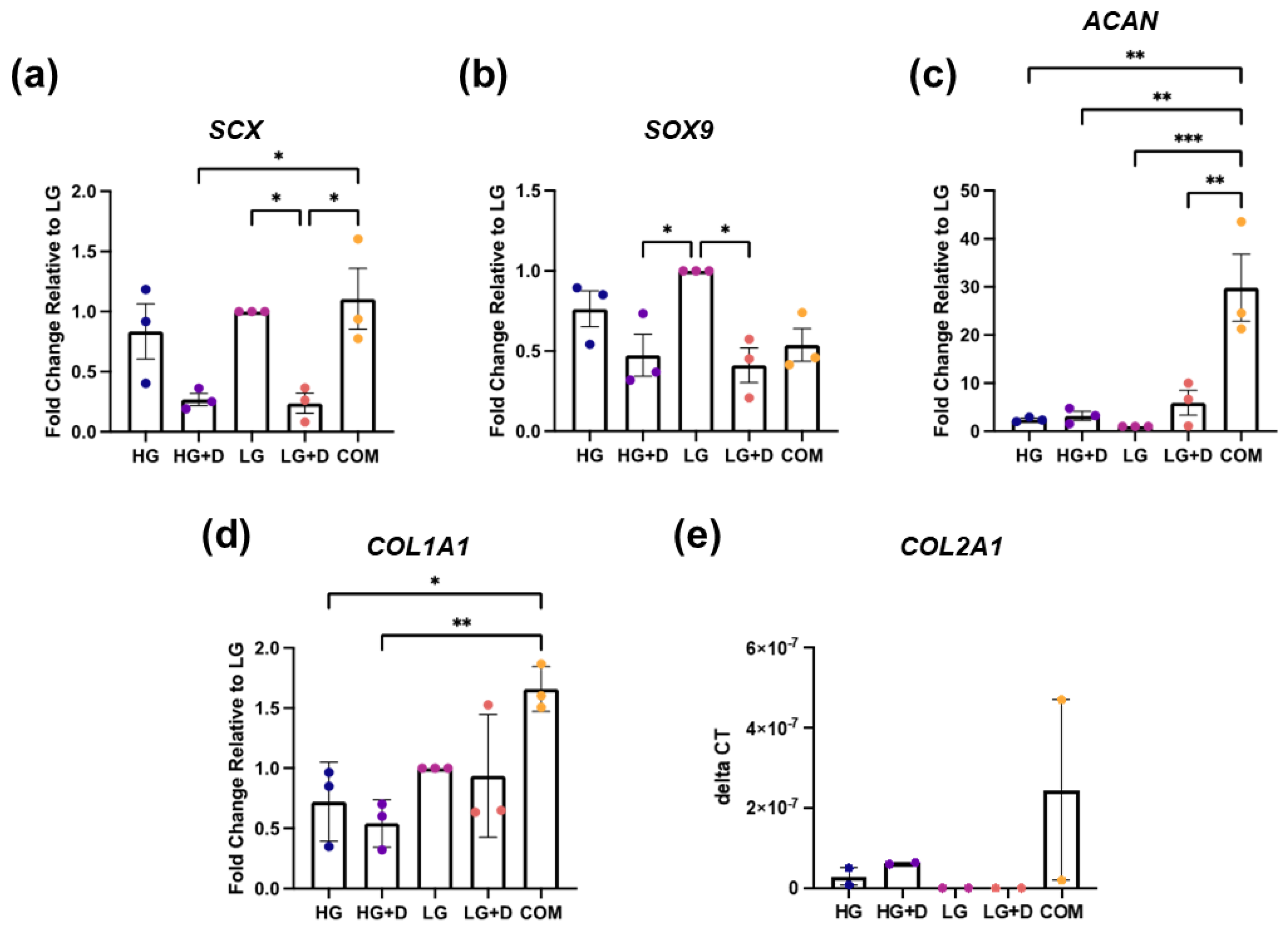 Bioengineering 12 00546 g003