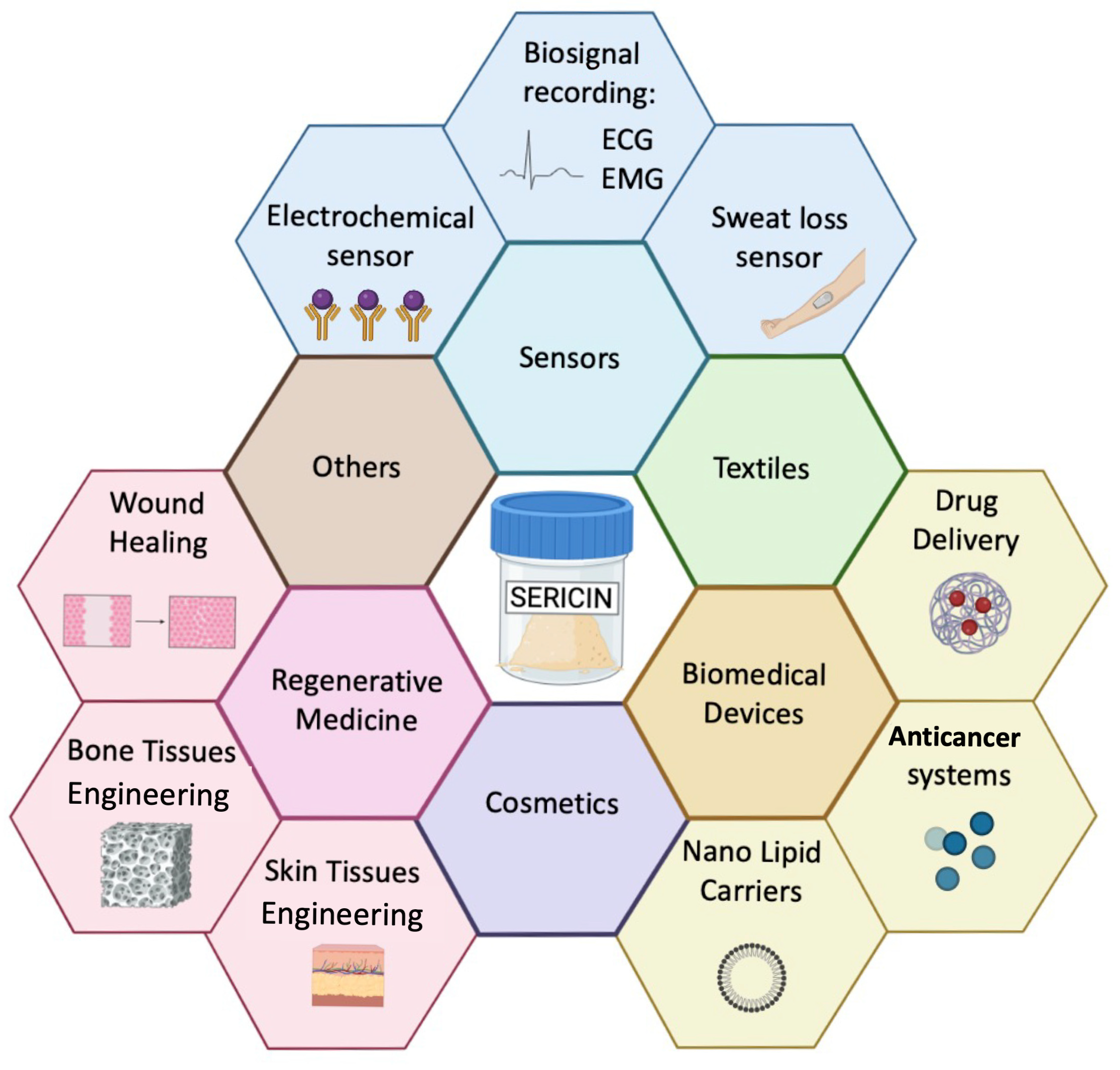Bioengineering 12 00547 g002