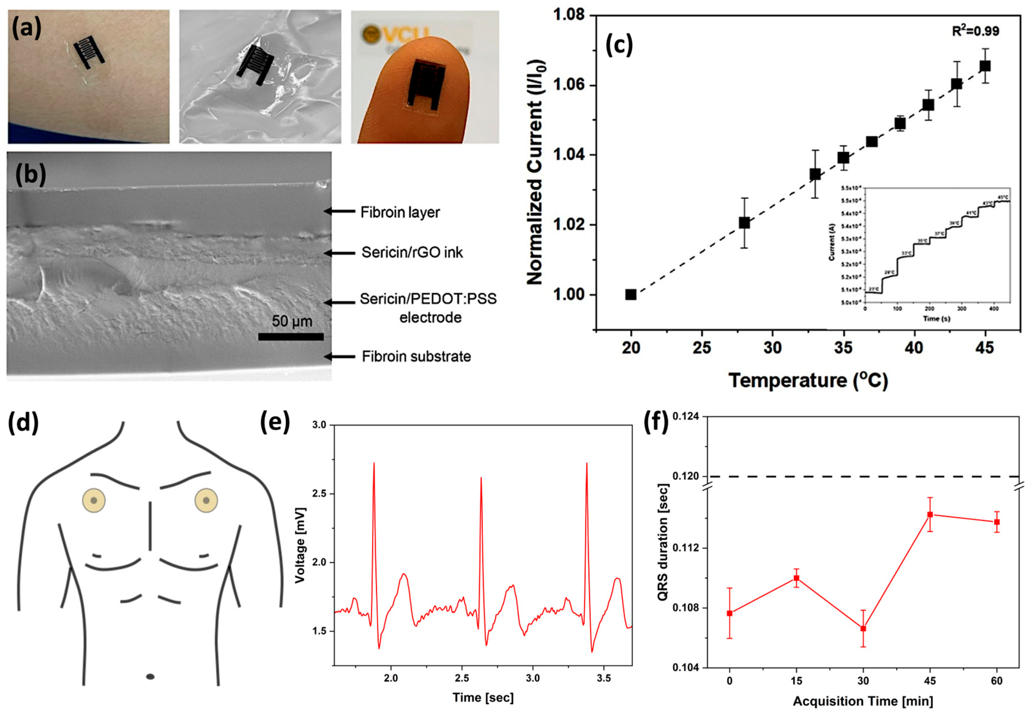 Bioengineering 12 00547 g003