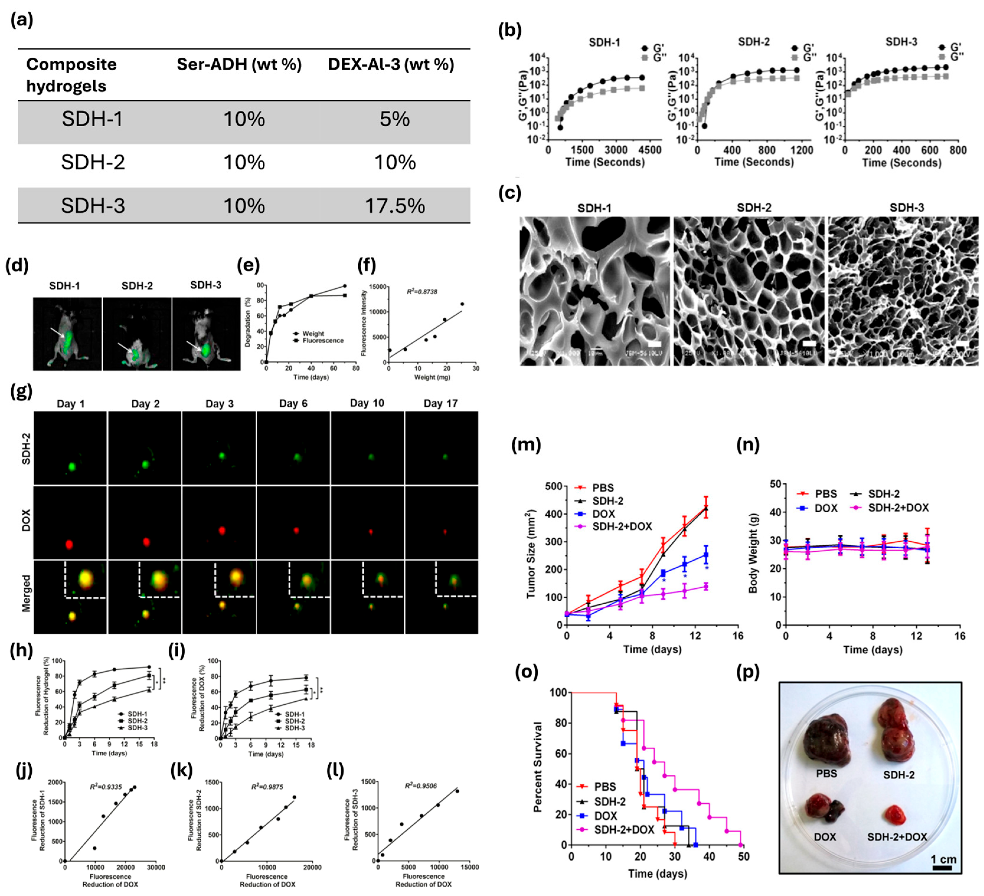 Bioengineering 12 00547 g006