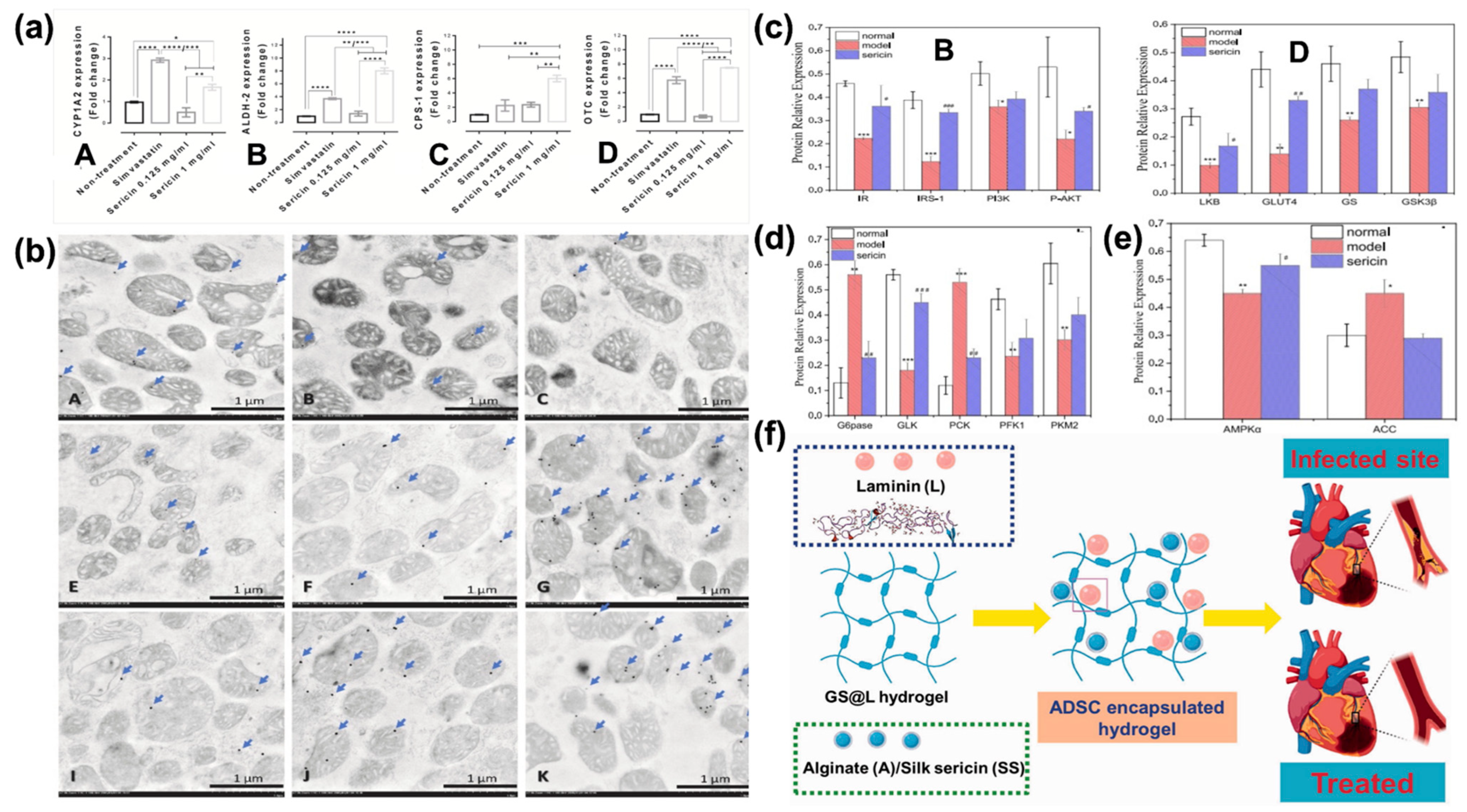Bioengineering 12 00547 g007