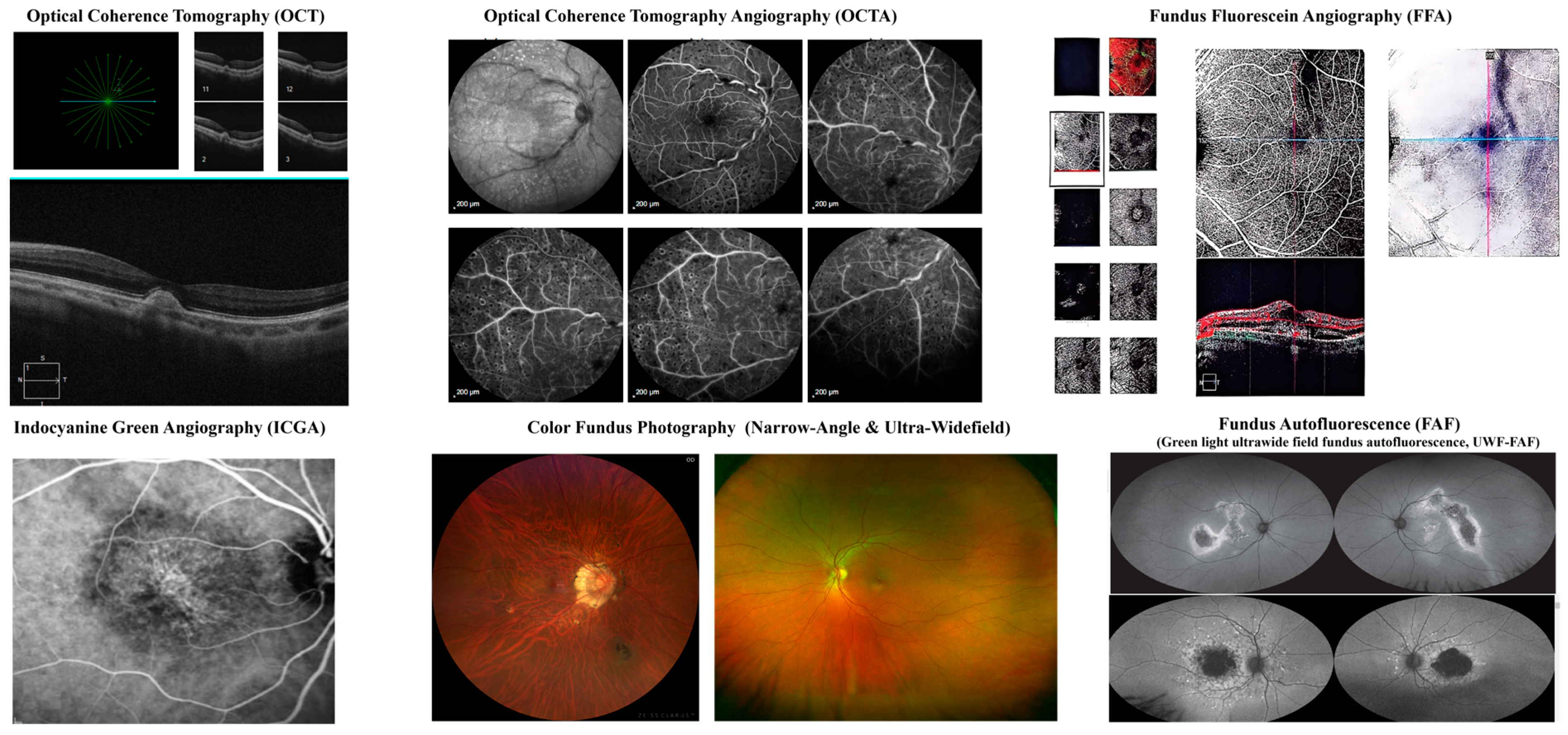 Bioengineering 12 00548 g010