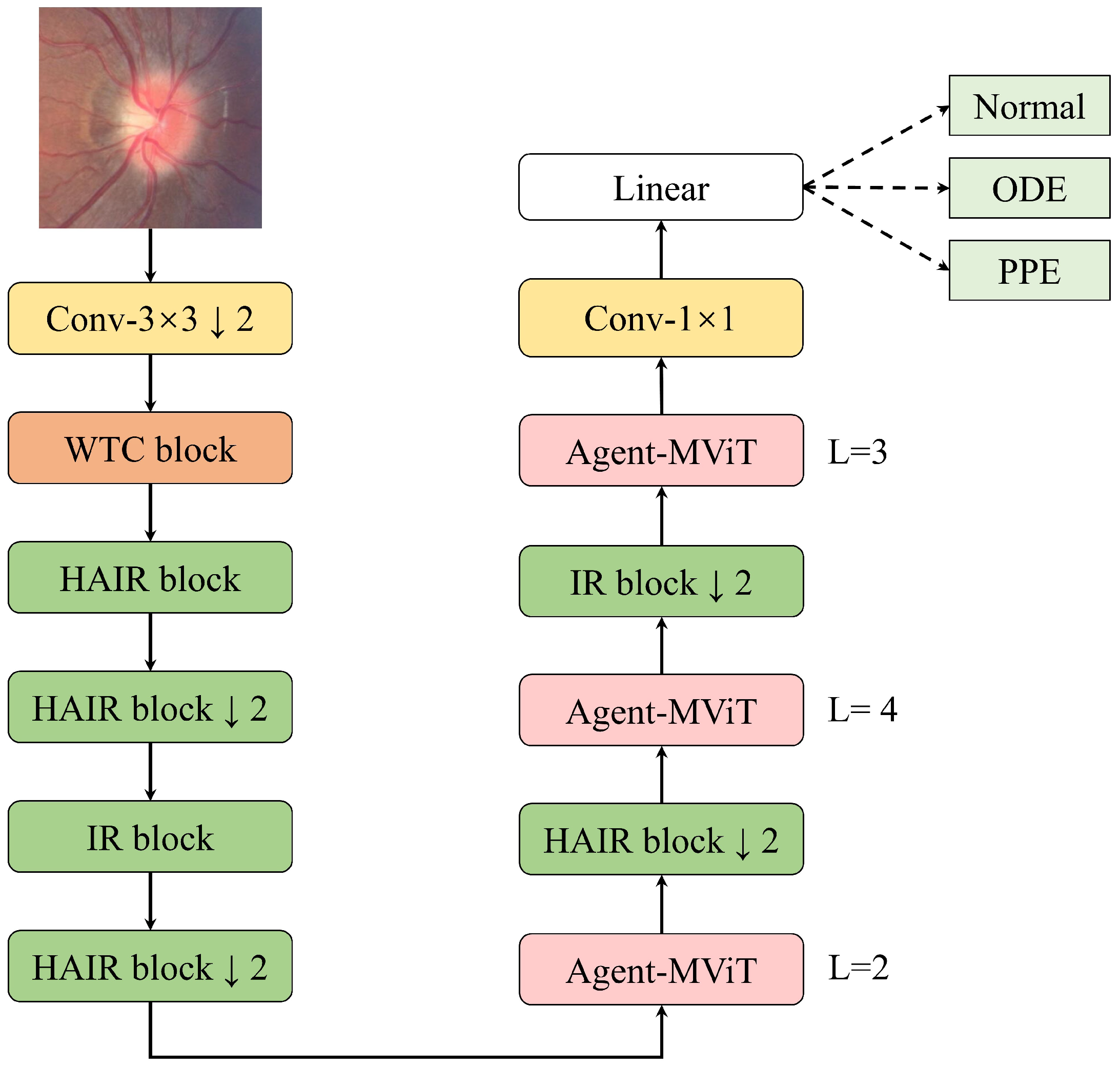 Bioengineering 12 00550 g002