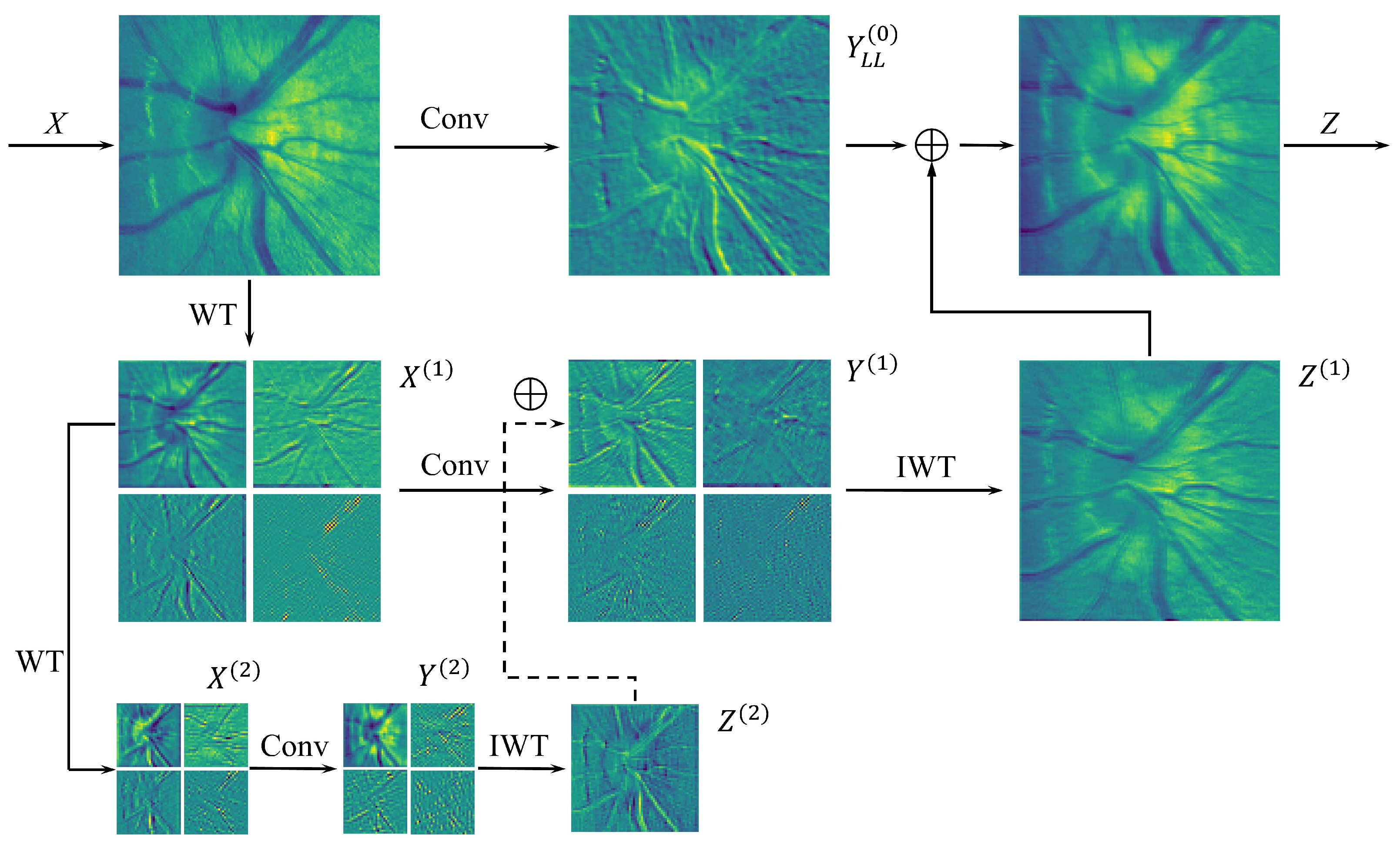 Bioengineering 12 00550 g004