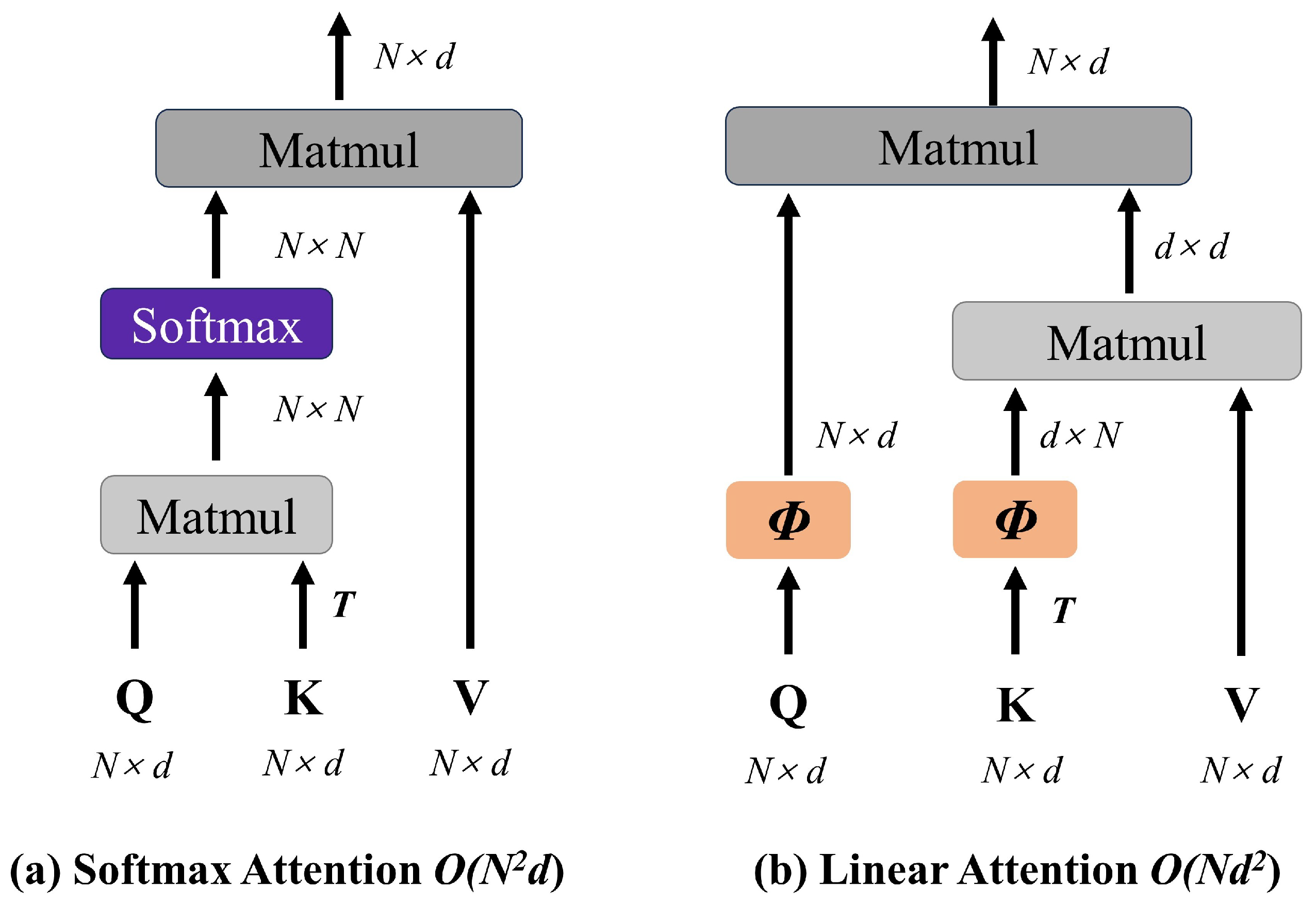 Bioengineering 12 00550 g007