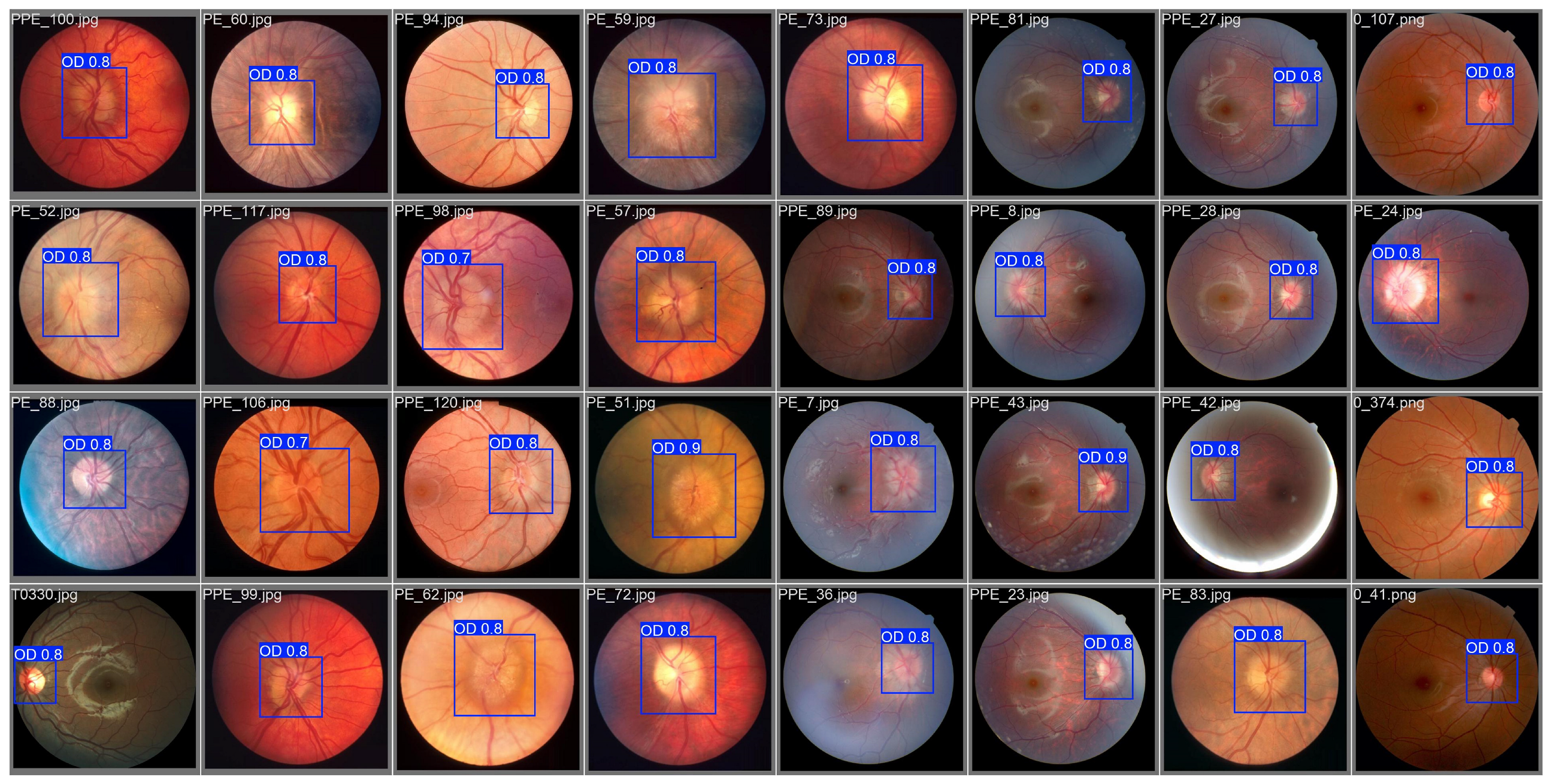 Bioengineering 12 00550 g011