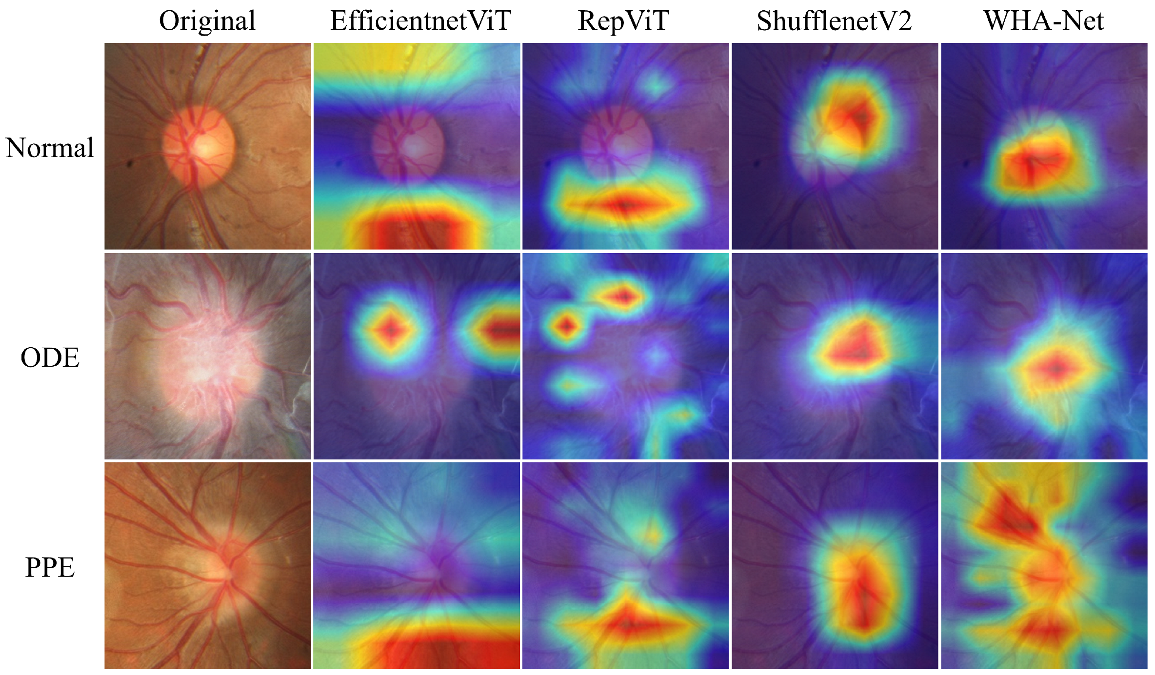 Bioengineering 12 00550 g014