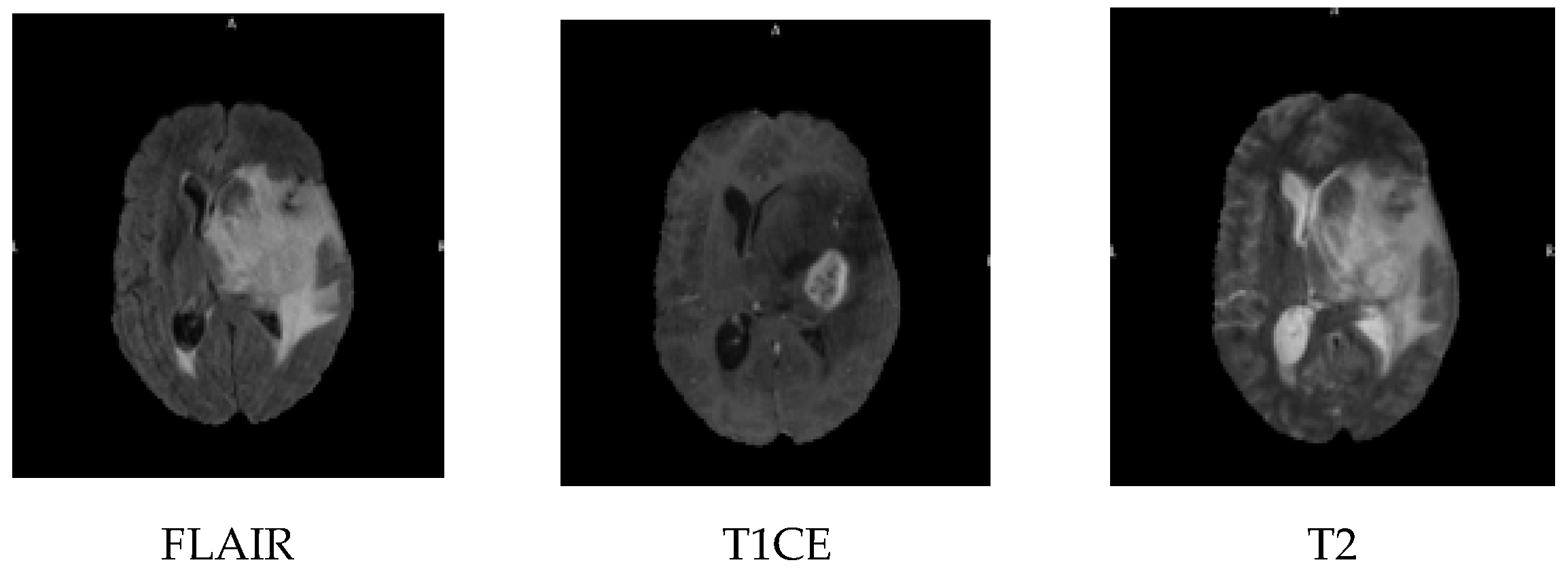 Bioengineering 12 00552 g001