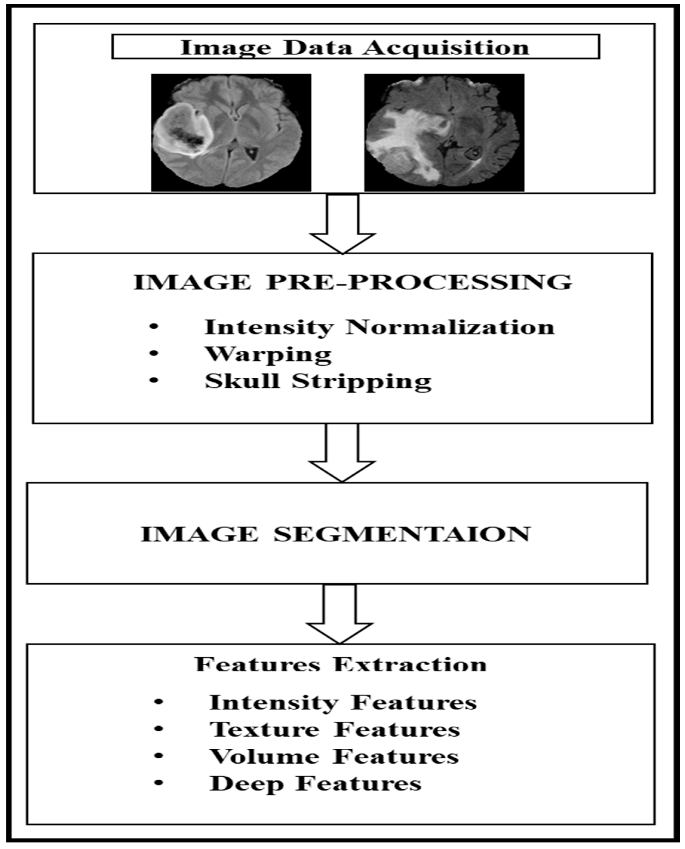 Bioengineering 12 00552 g002