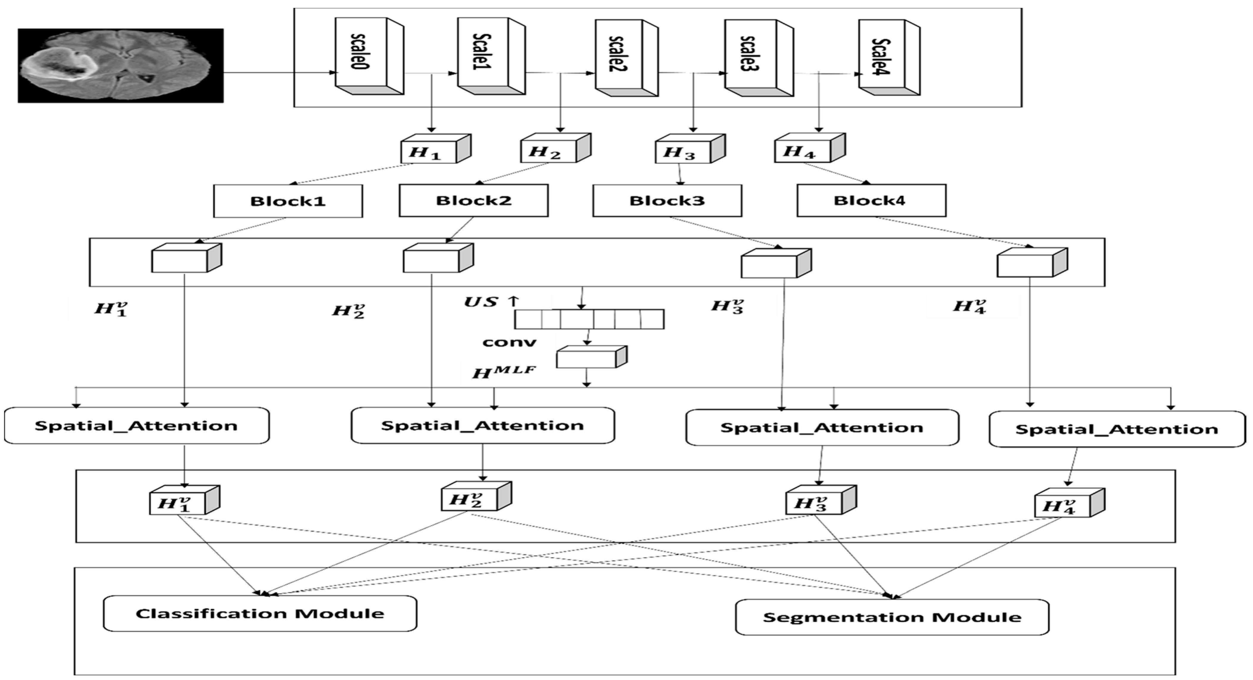 Bioengineering 12 00552 g003