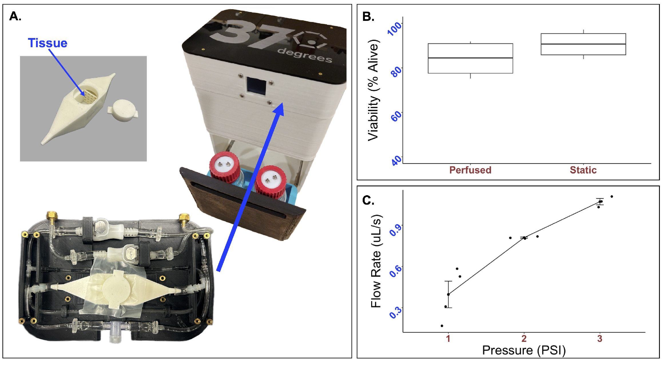 Bioengineering 12 00554 g002