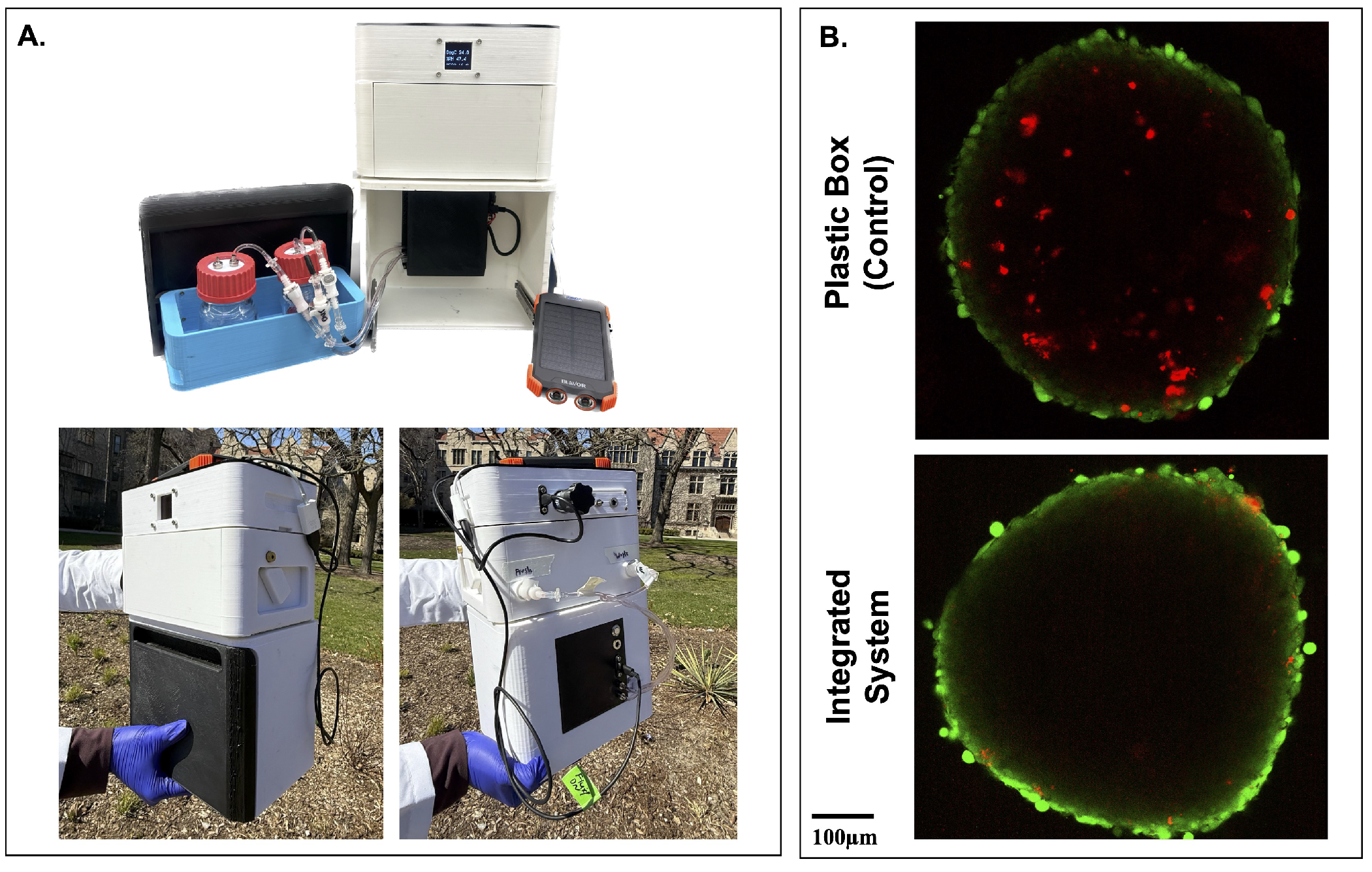 Bioengineering 12 00554 g005