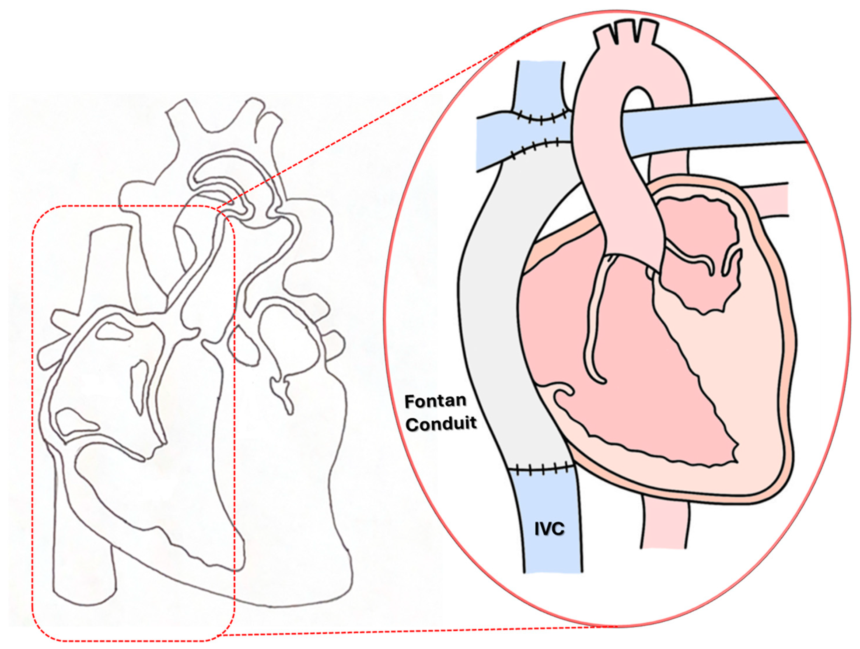 Bioengineering 12 00555 g001