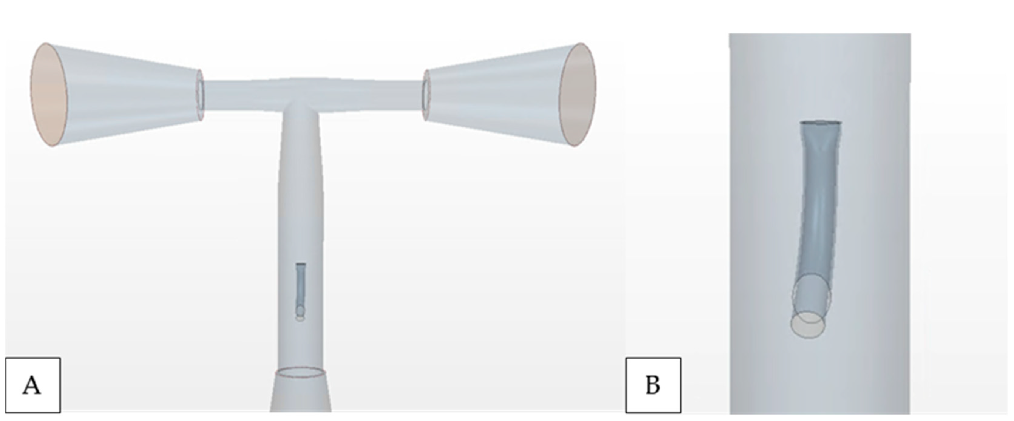 Bioengineering 12 00555 g002