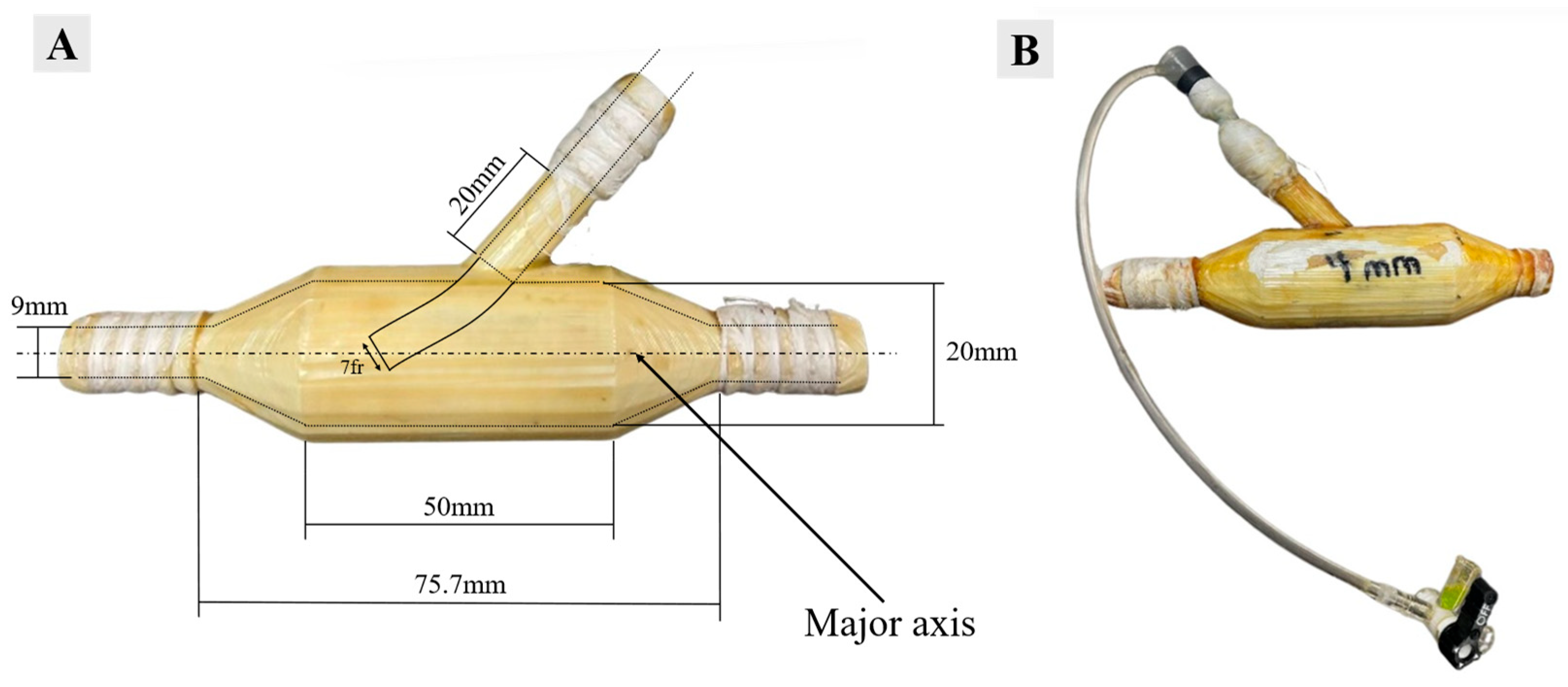 Bioengineering 12 00555 g004