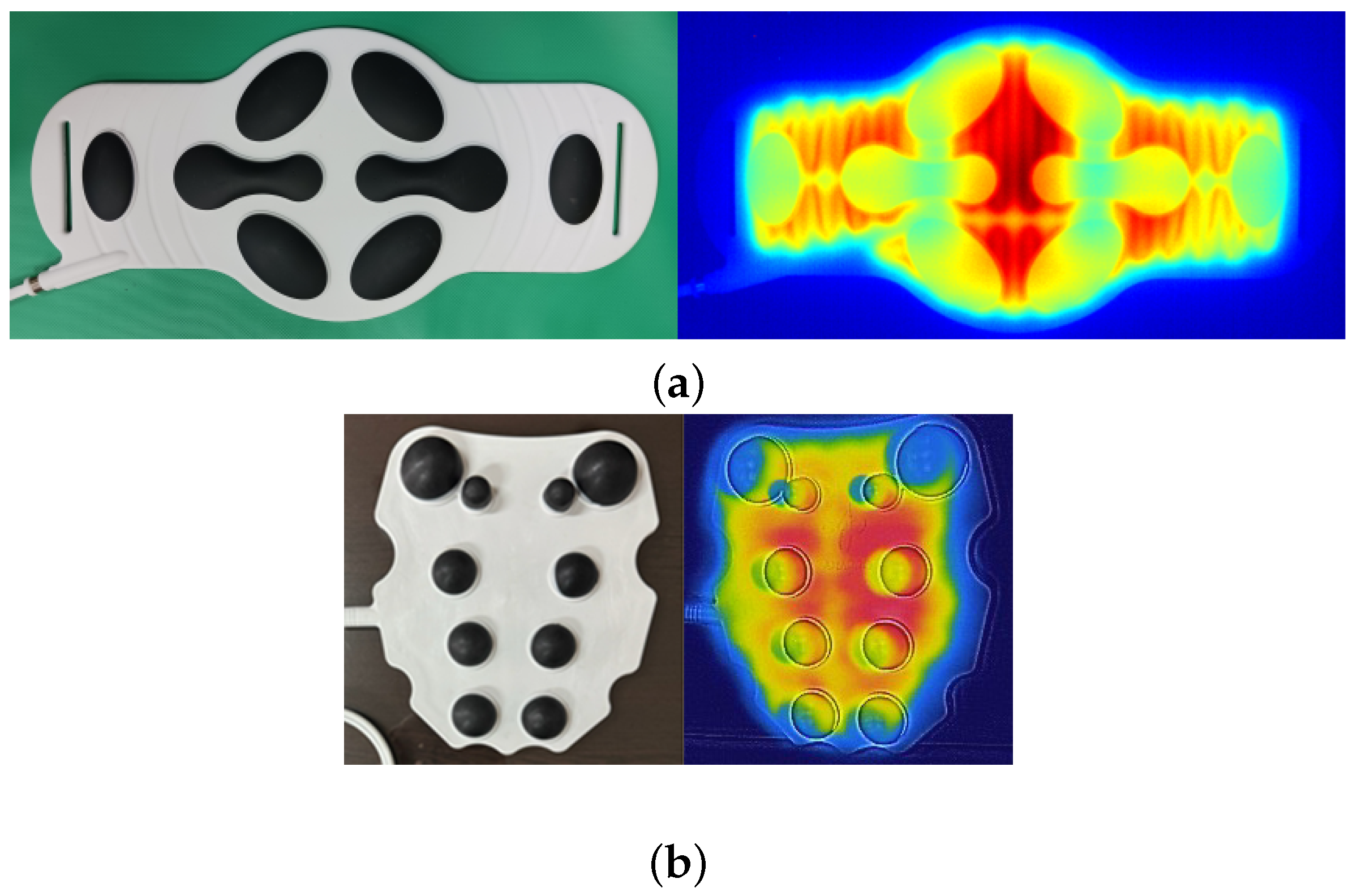 Bioengineering 12 00560 g001