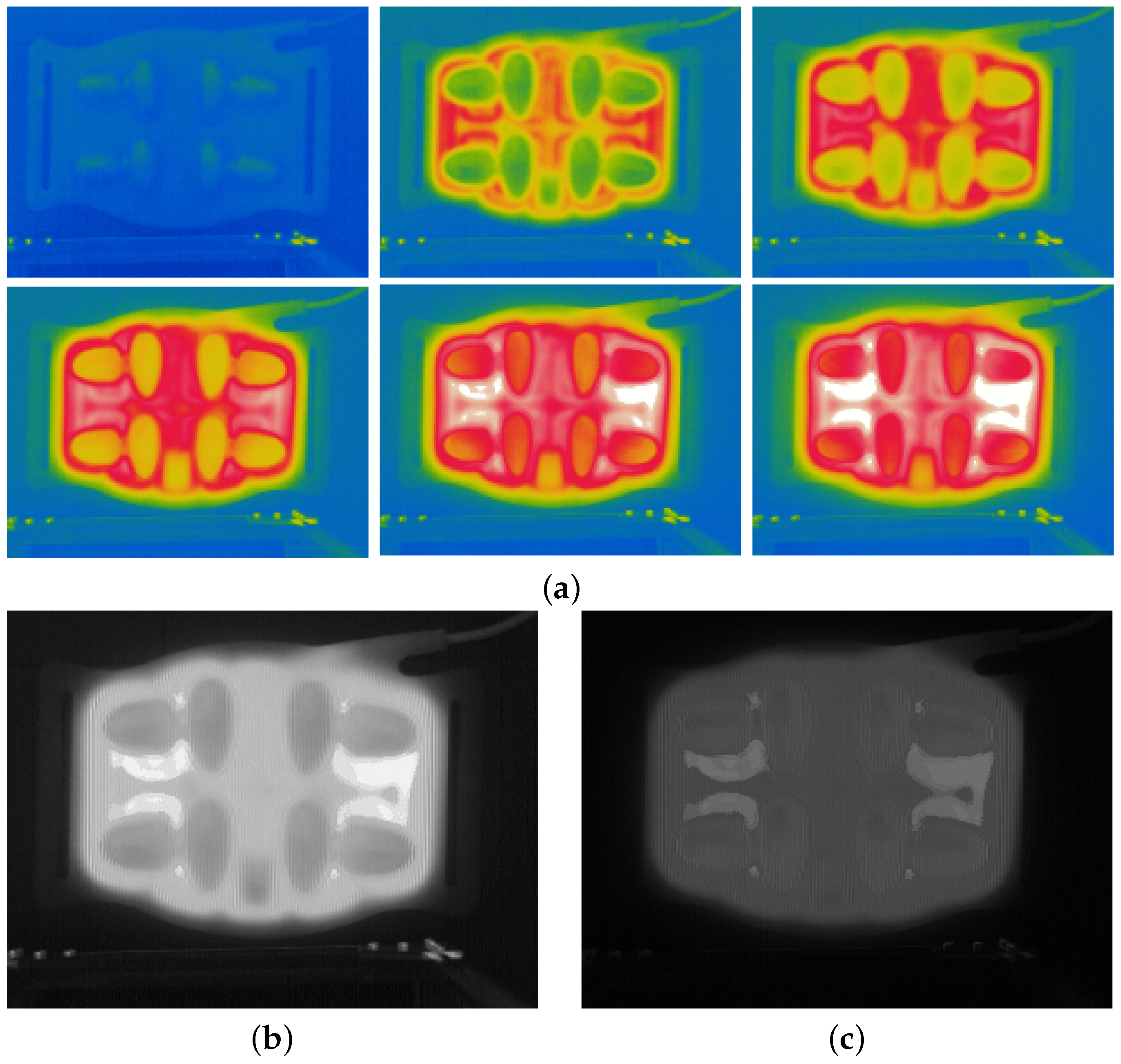 Bioengineering 12 00560 g002a