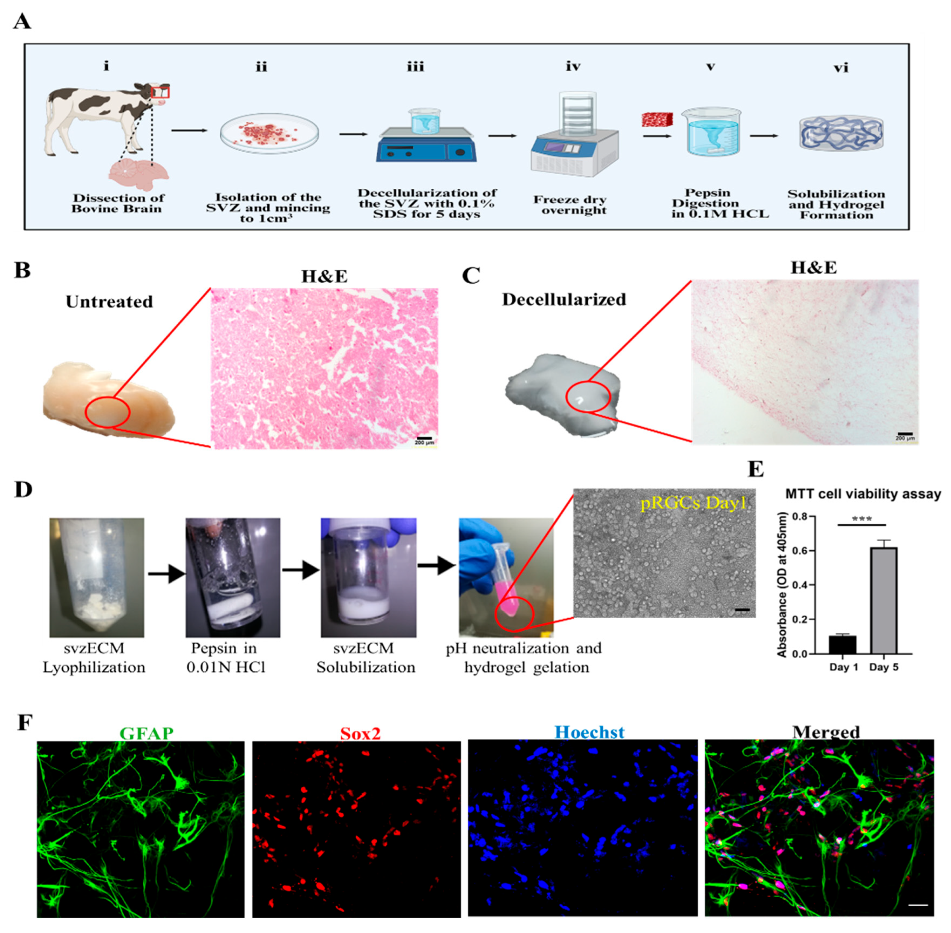 Bioengineering 12 00562 g001