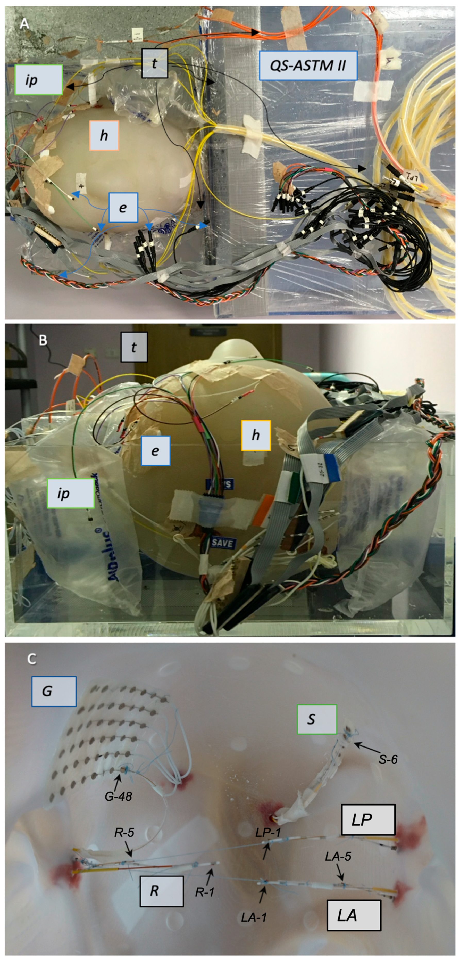 Bioengineering 12 00564 g002