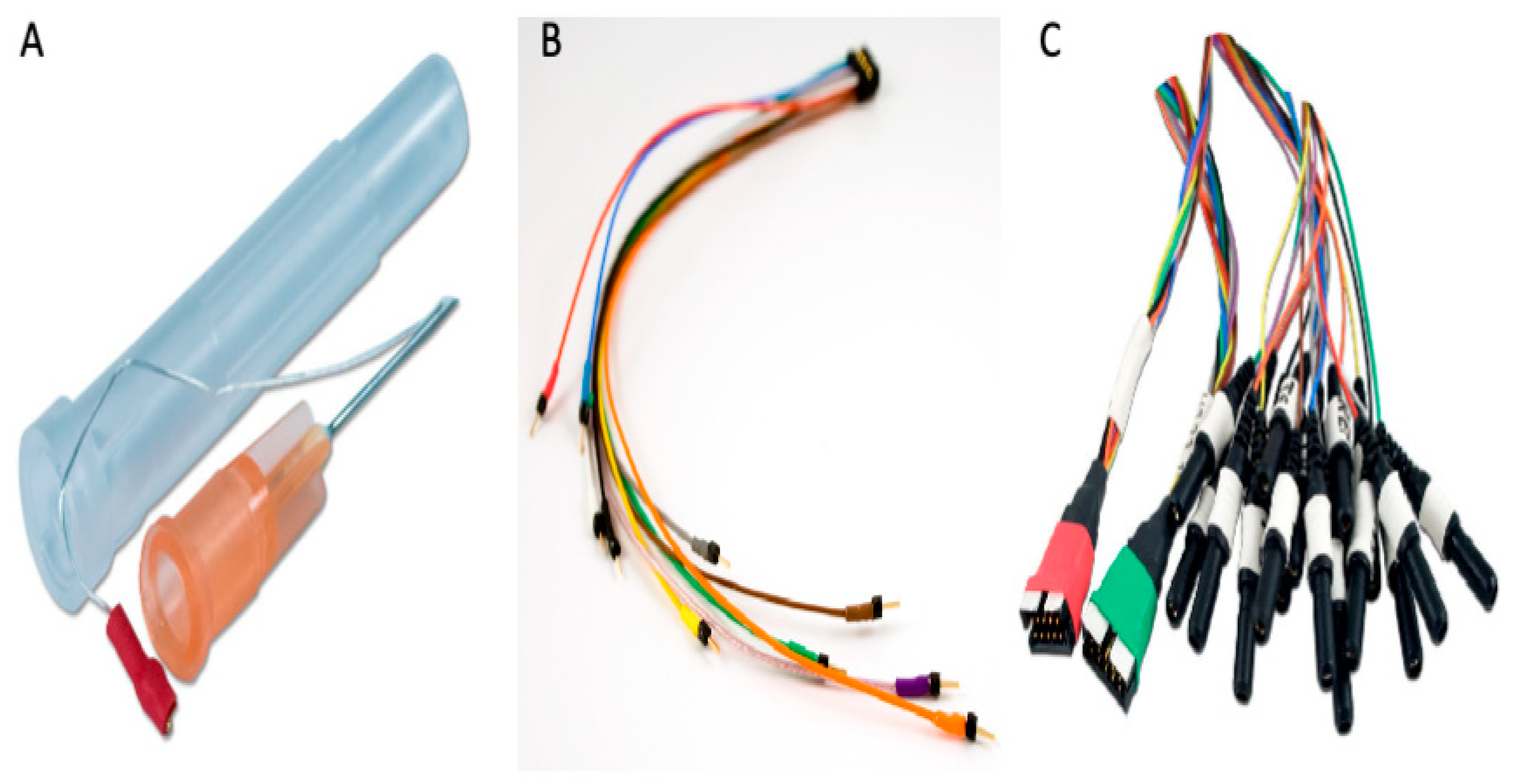 Bioengineering 12 00564 g004
