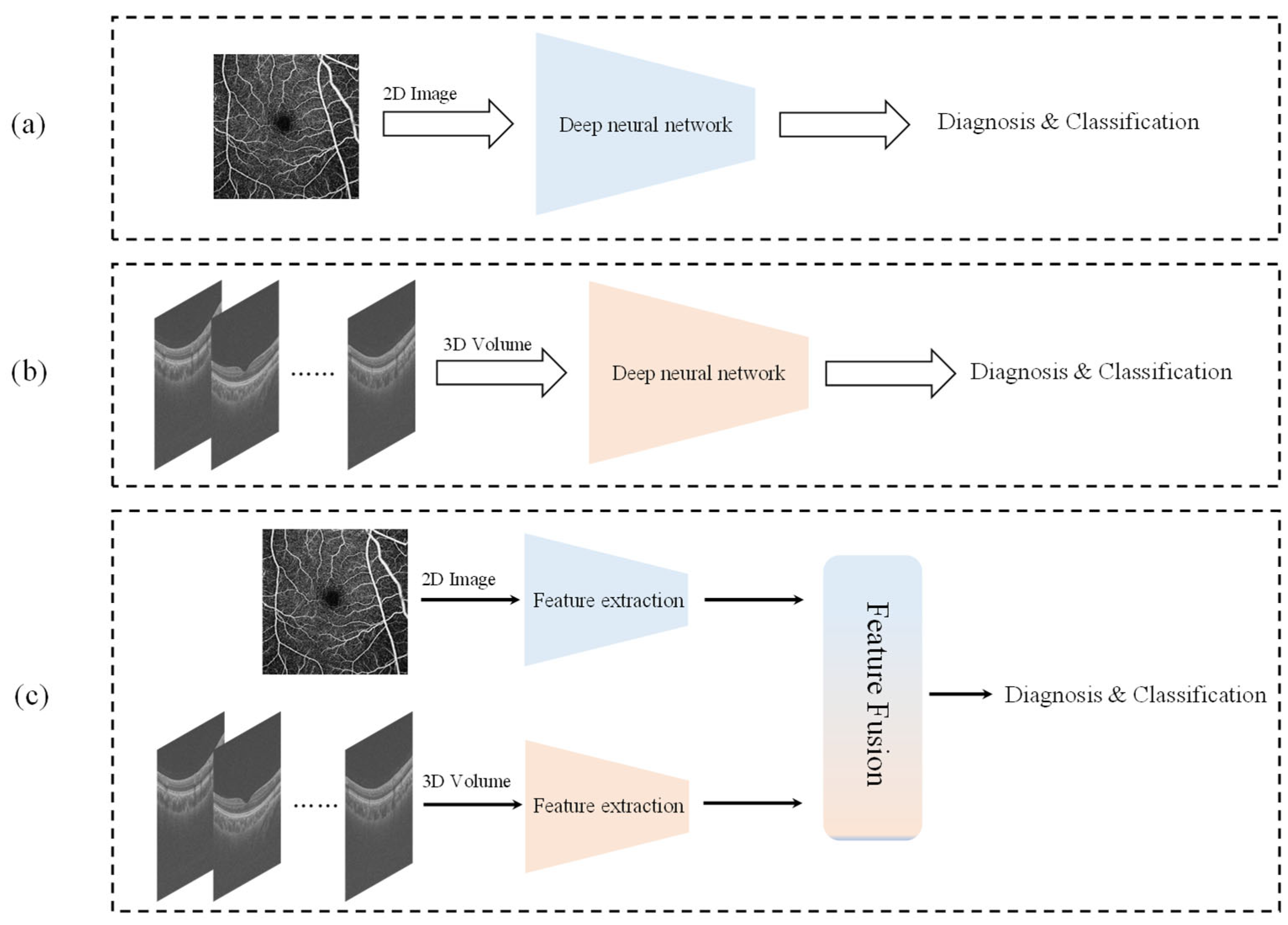Bioengineering 12 00565 g001