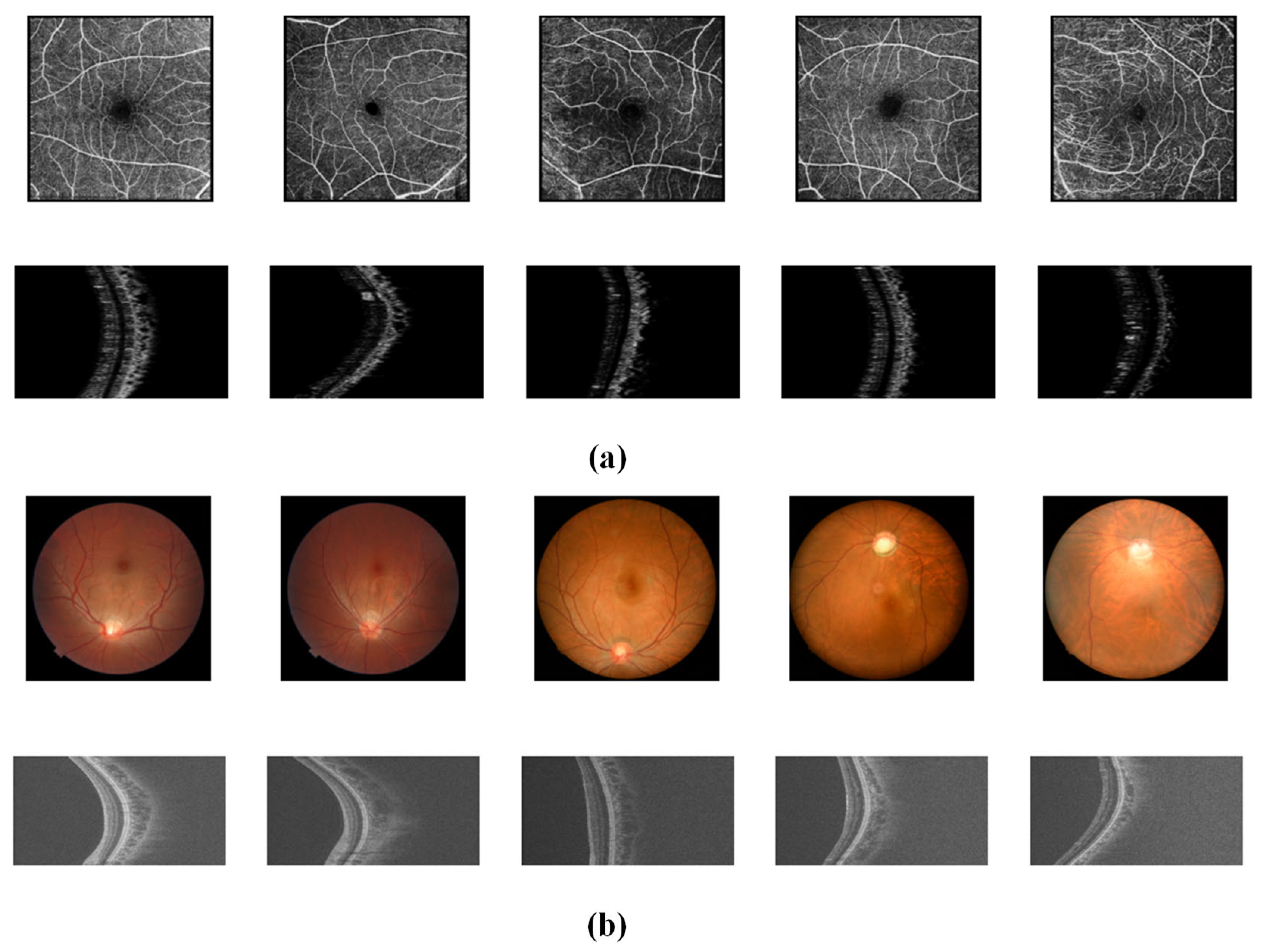 Bioengineering 12 00565 g003