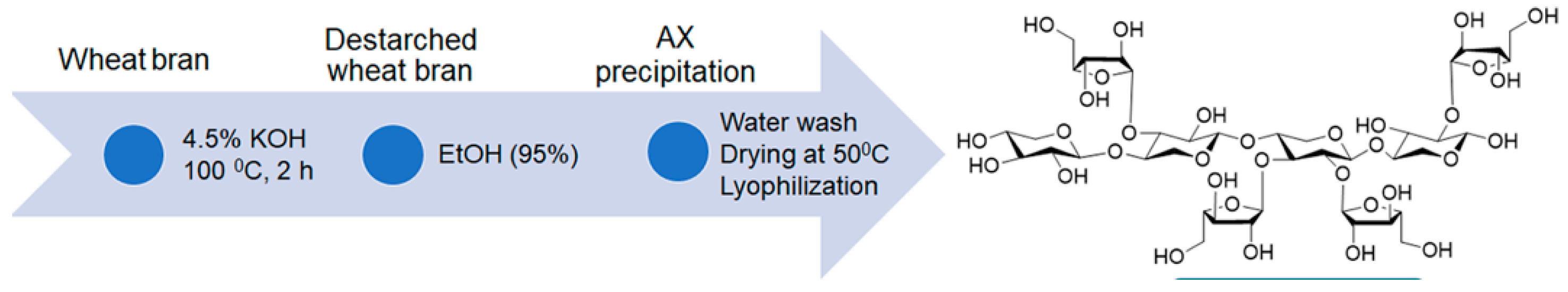 Bioengineering 12 00568 g001