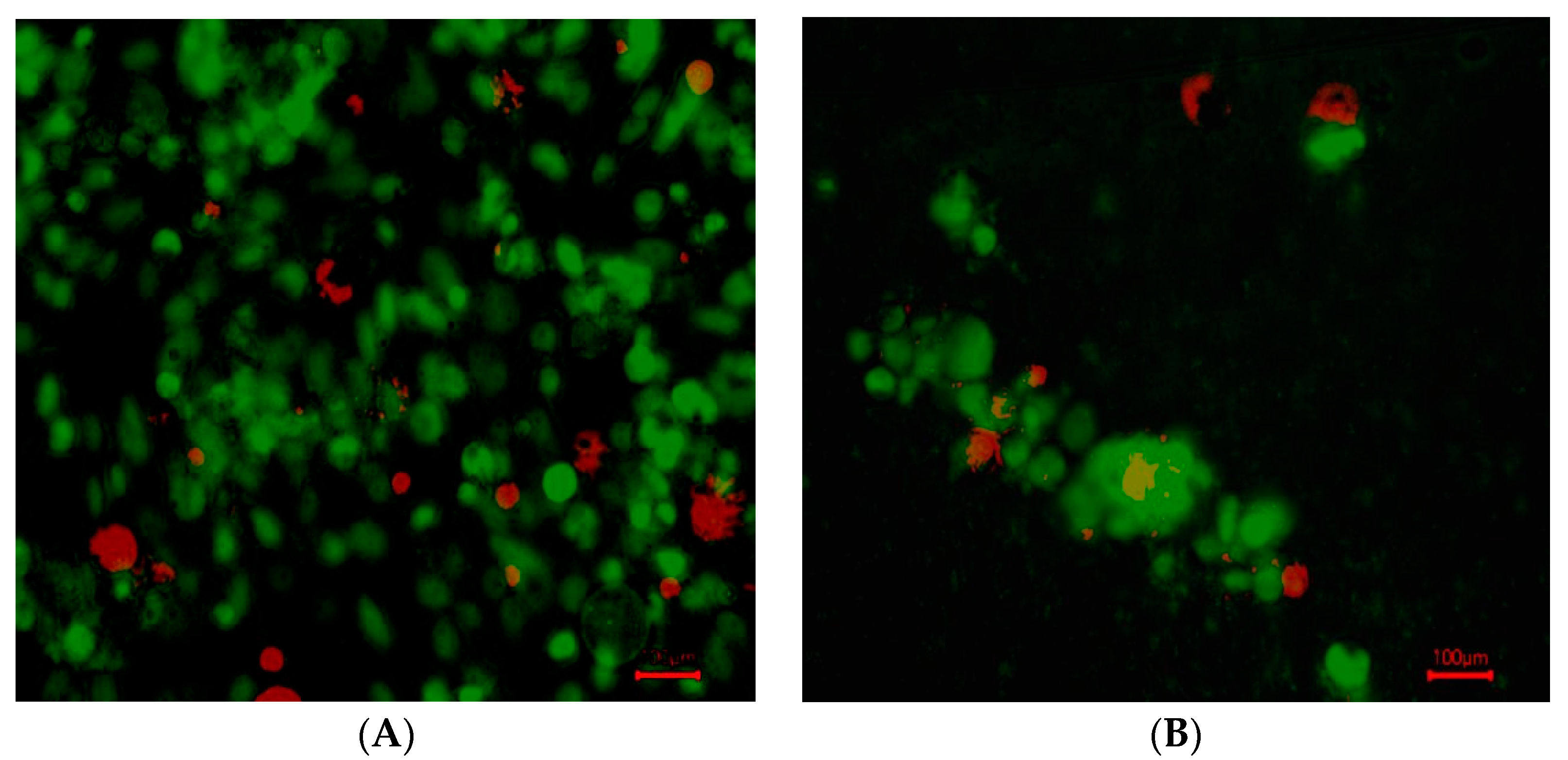 Bioengineering 12 00568 g004