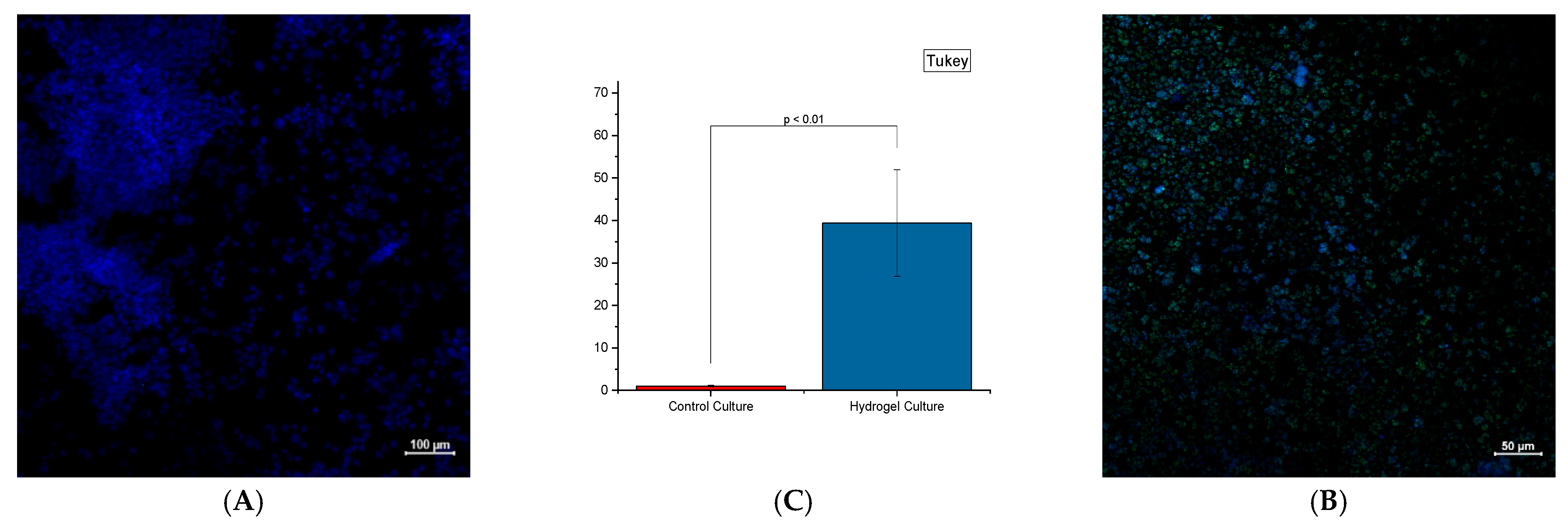 Bioengineering 12 00568 g007