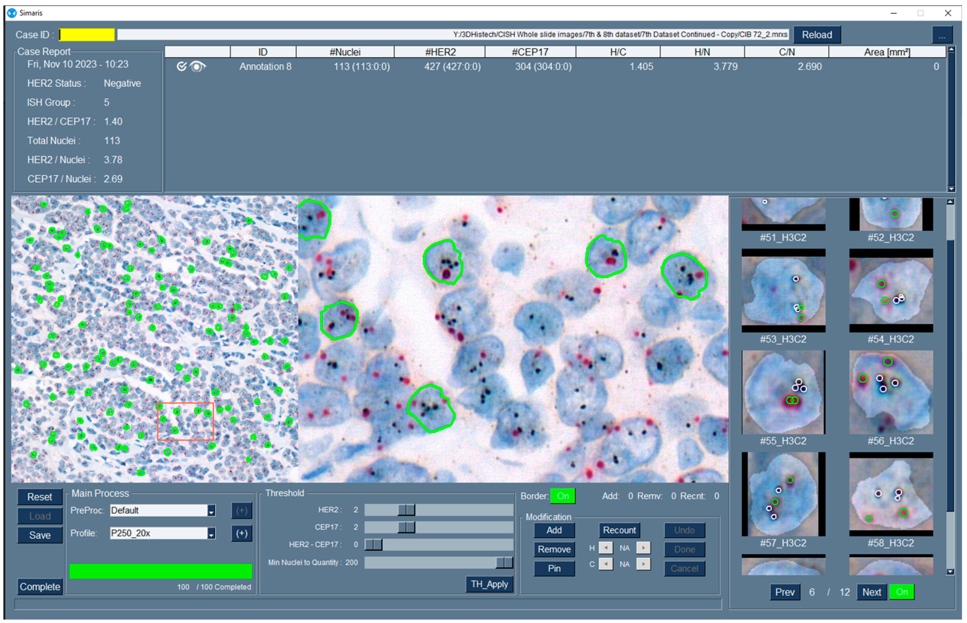 Bioengineering 12 00569 g002