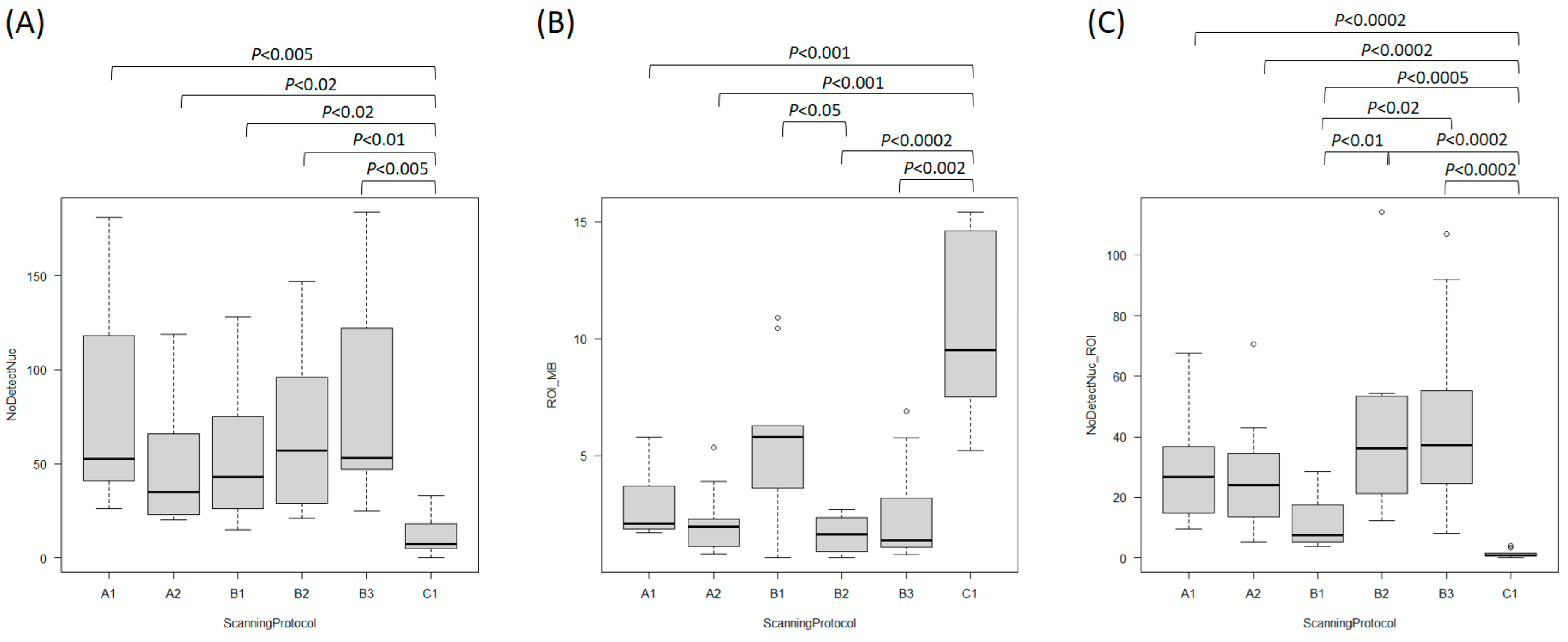 Bioengineering 12 00569 g005