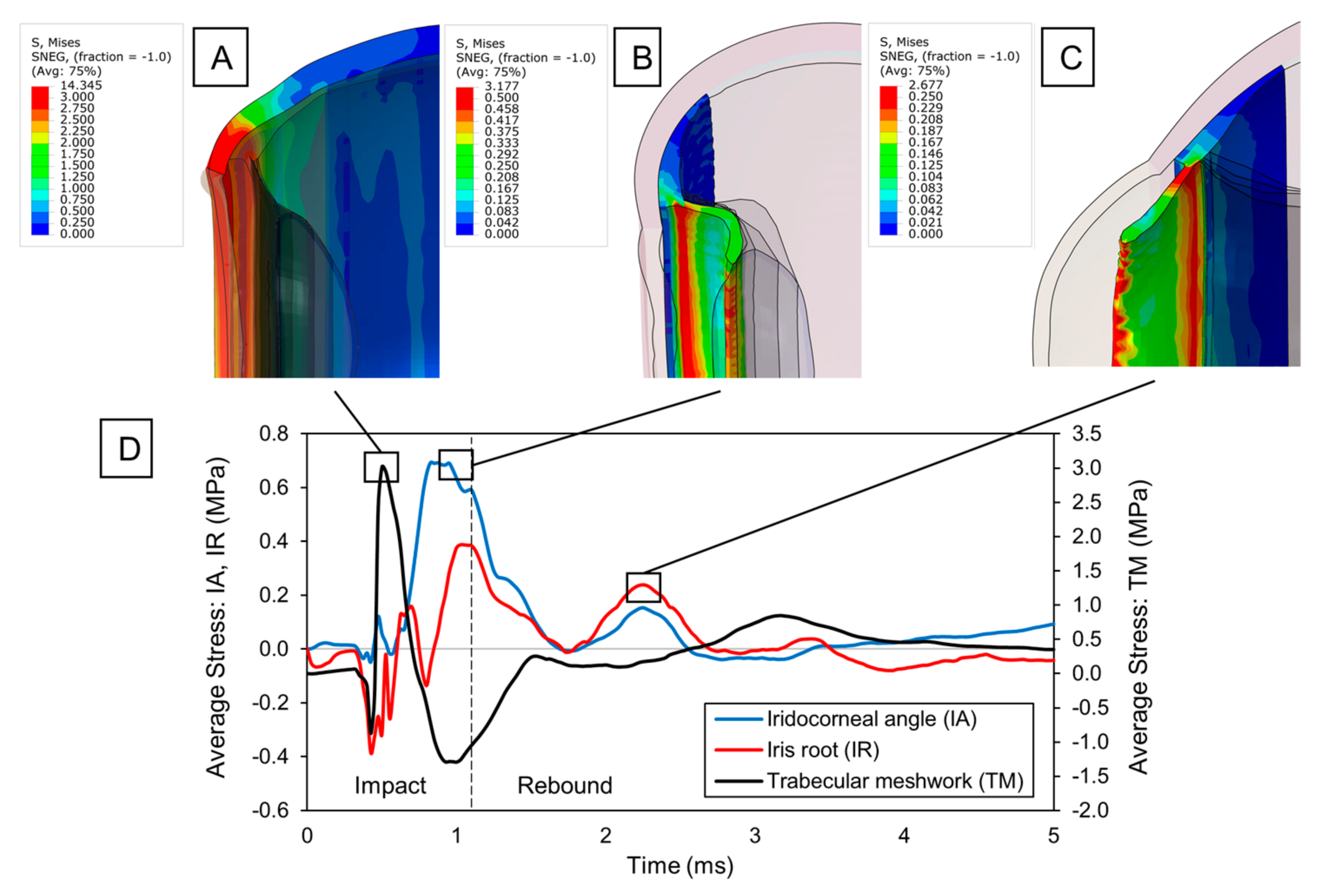 Bioengineering 12 00570 g002