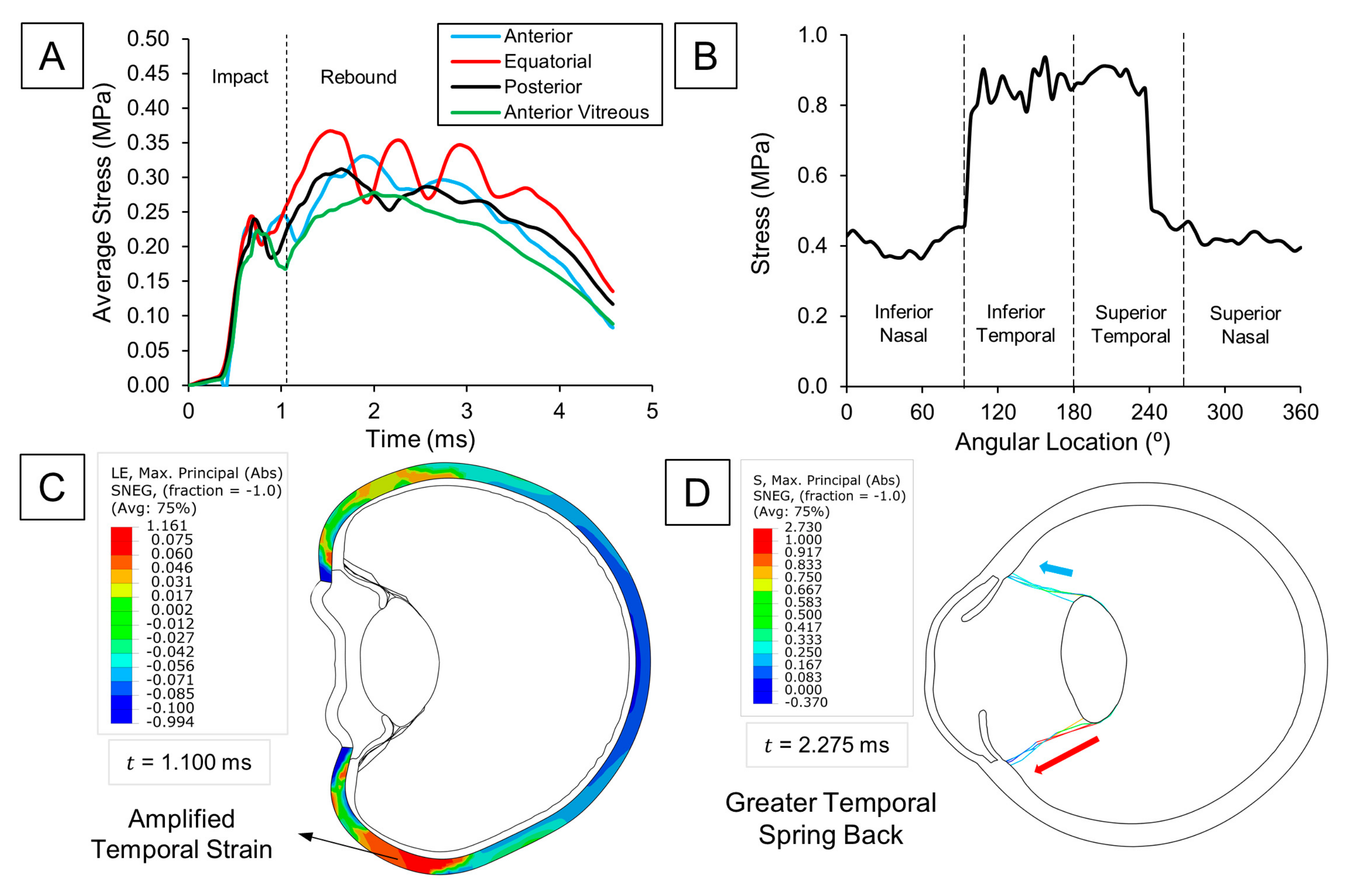 Bioengineering 12 00570 g003
