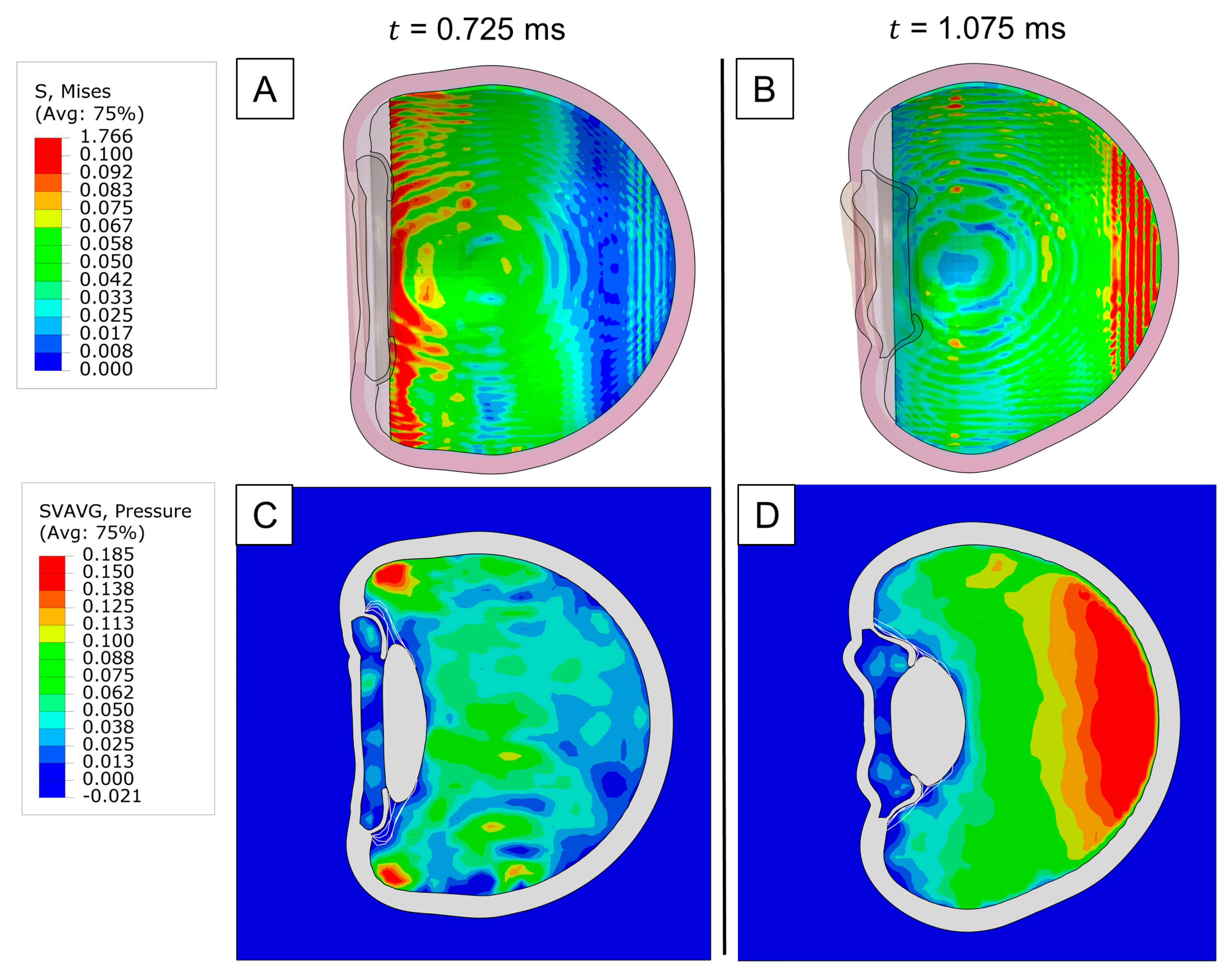 Bioengineering 12 00570 g004