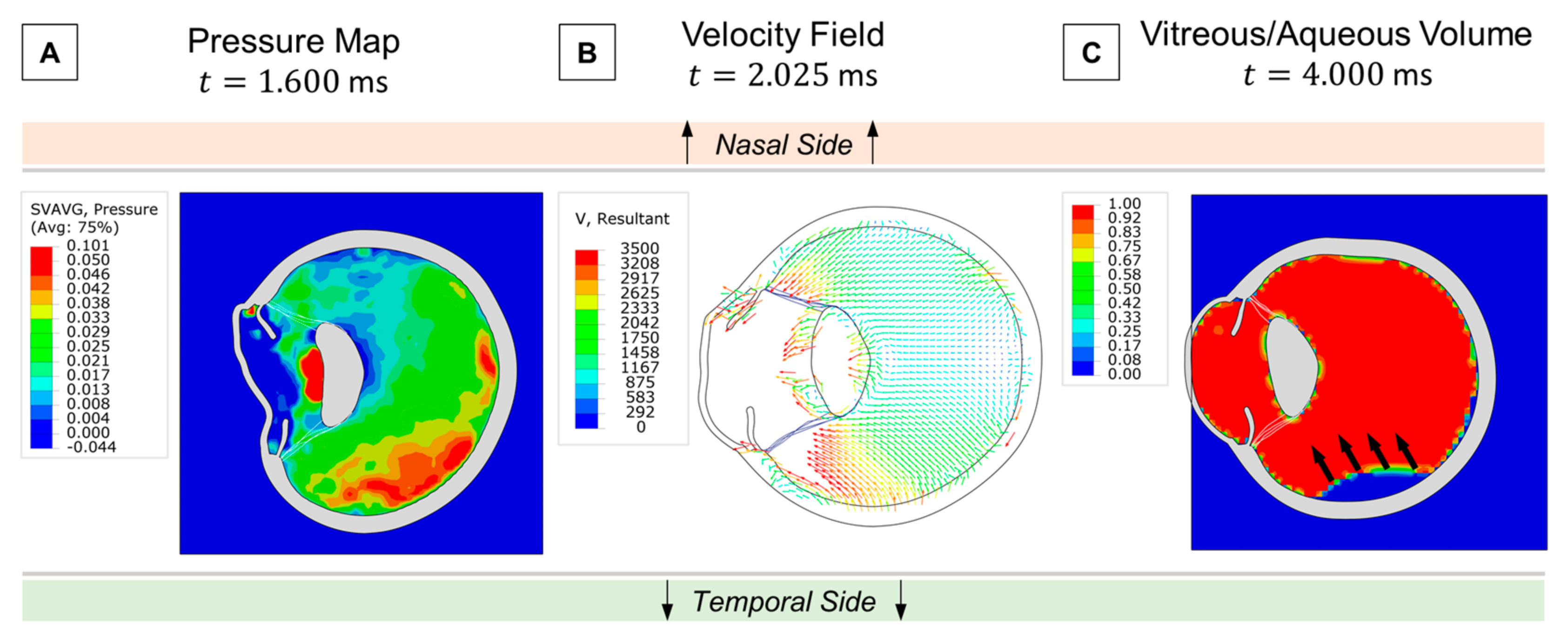 Bioengineering 12 00570 g006