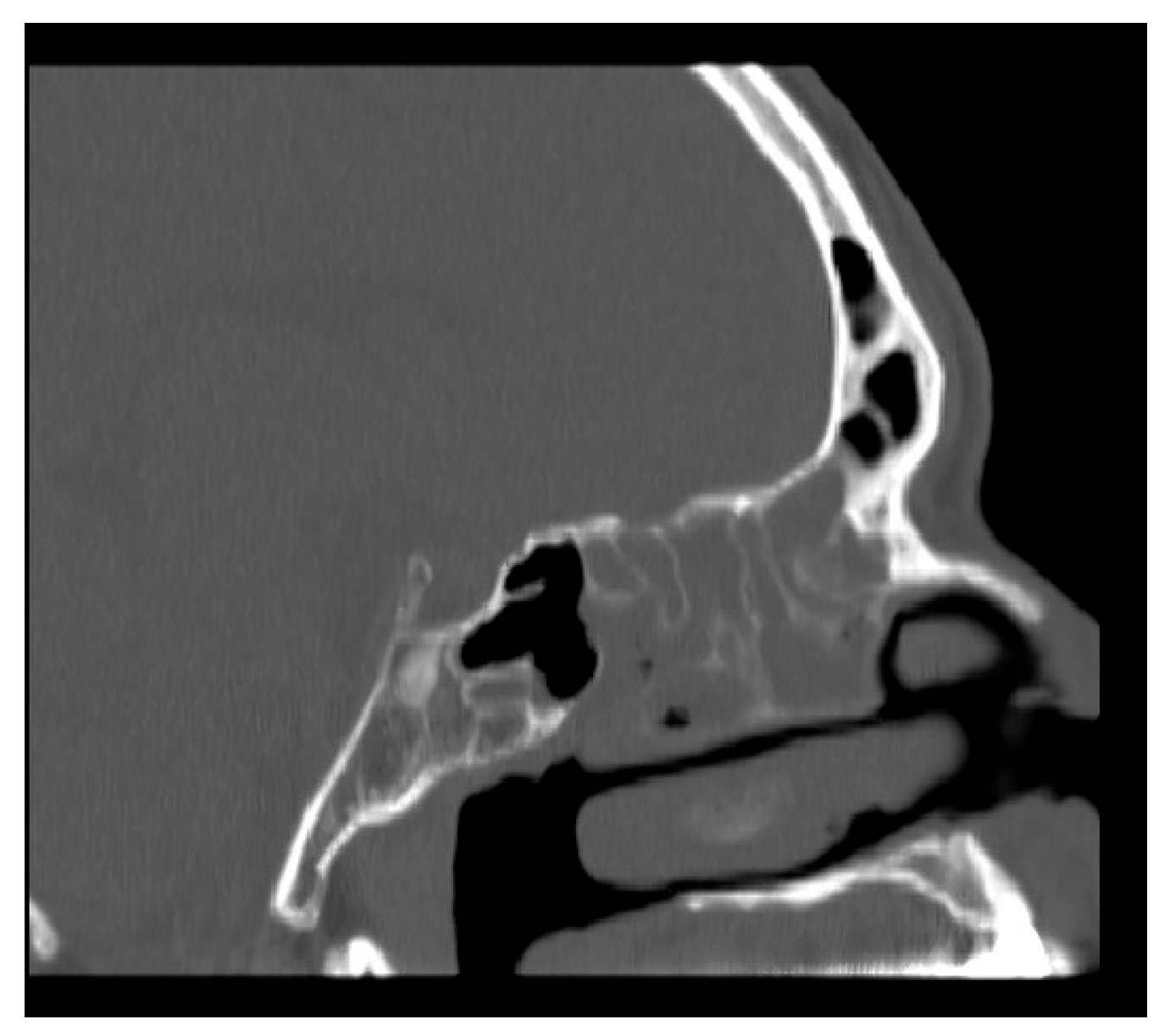 Bioengineering 12 00572 g001