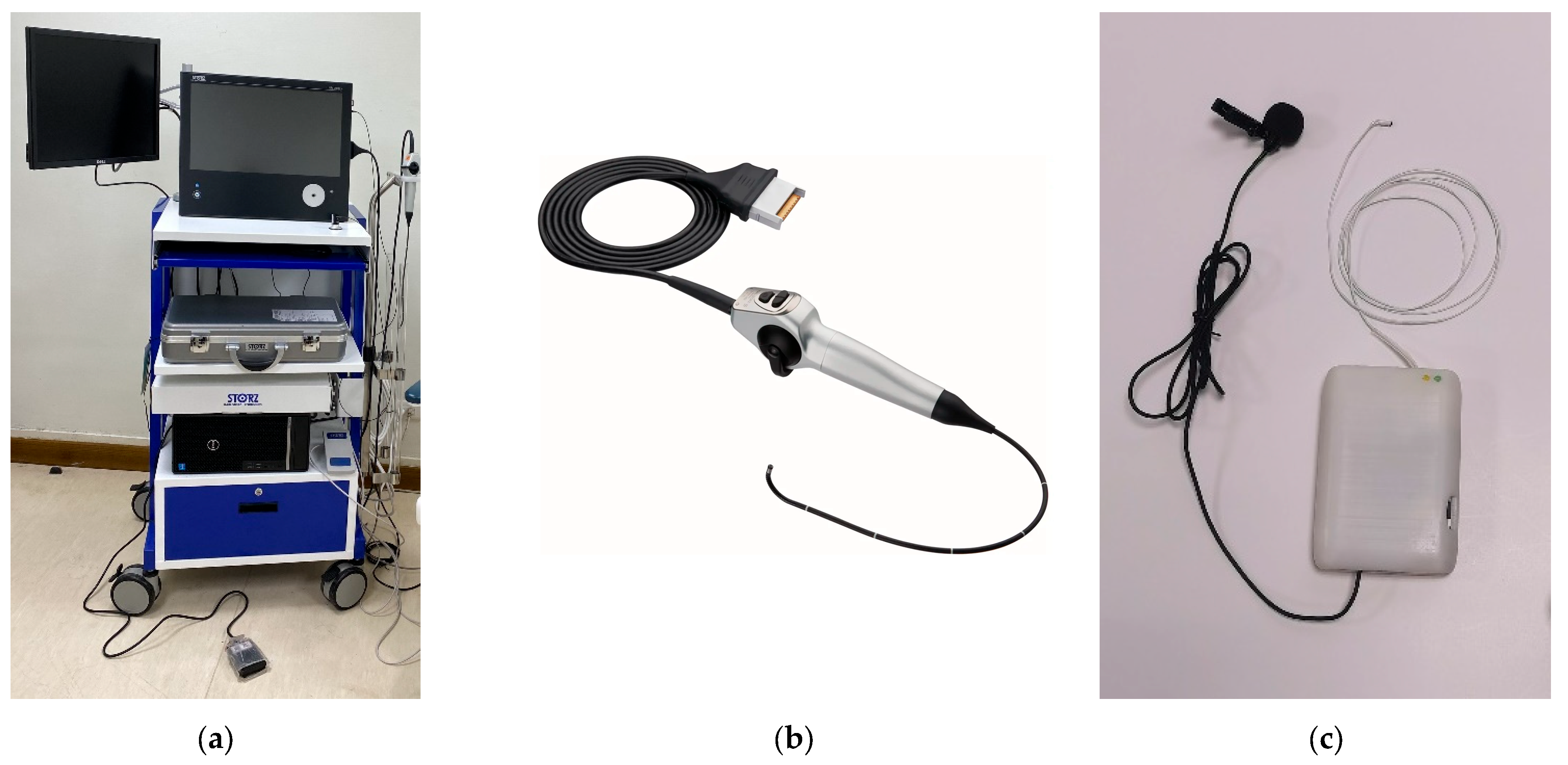 Bioengineering 12 00572 g003