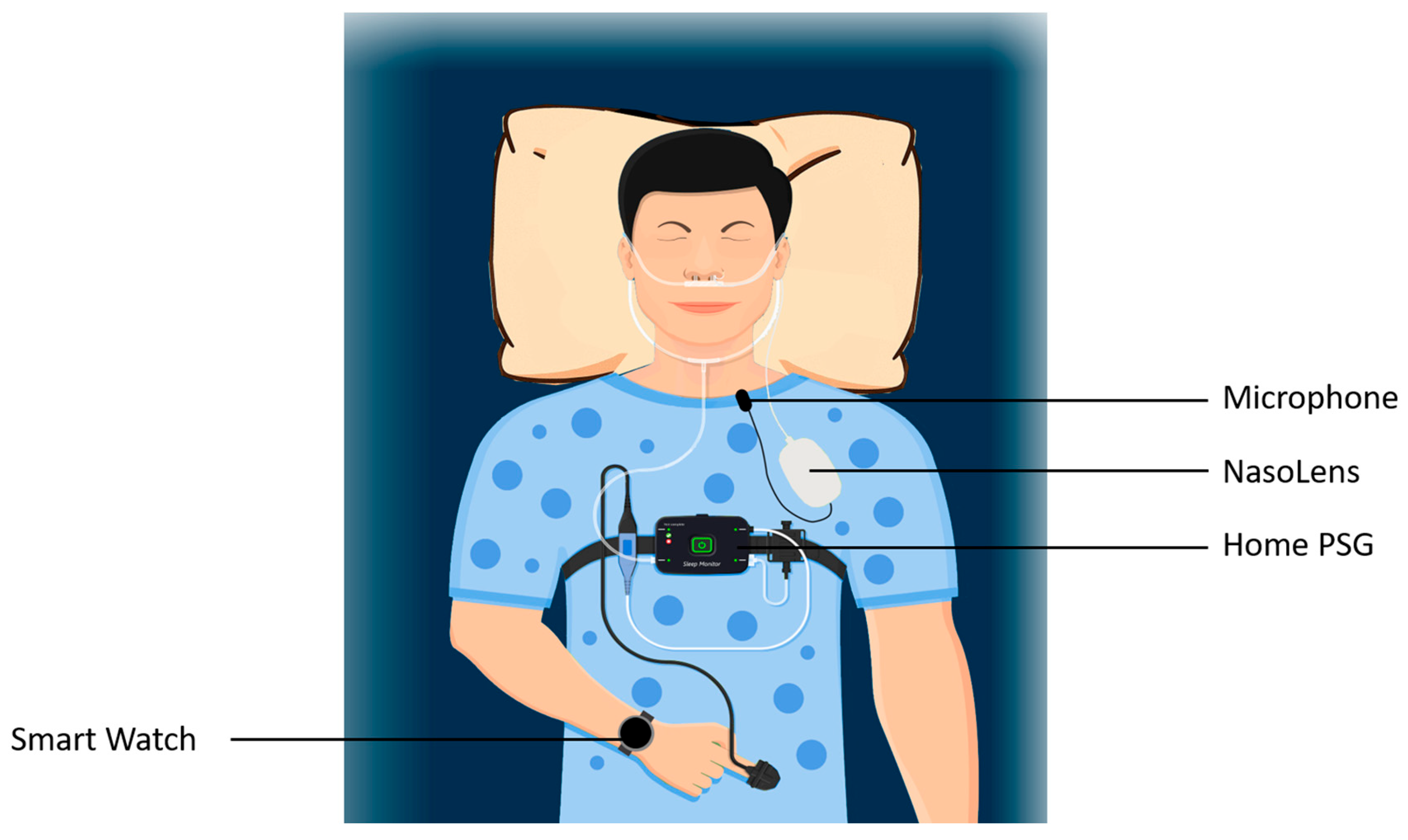 Bioengineering 12 00572 g005