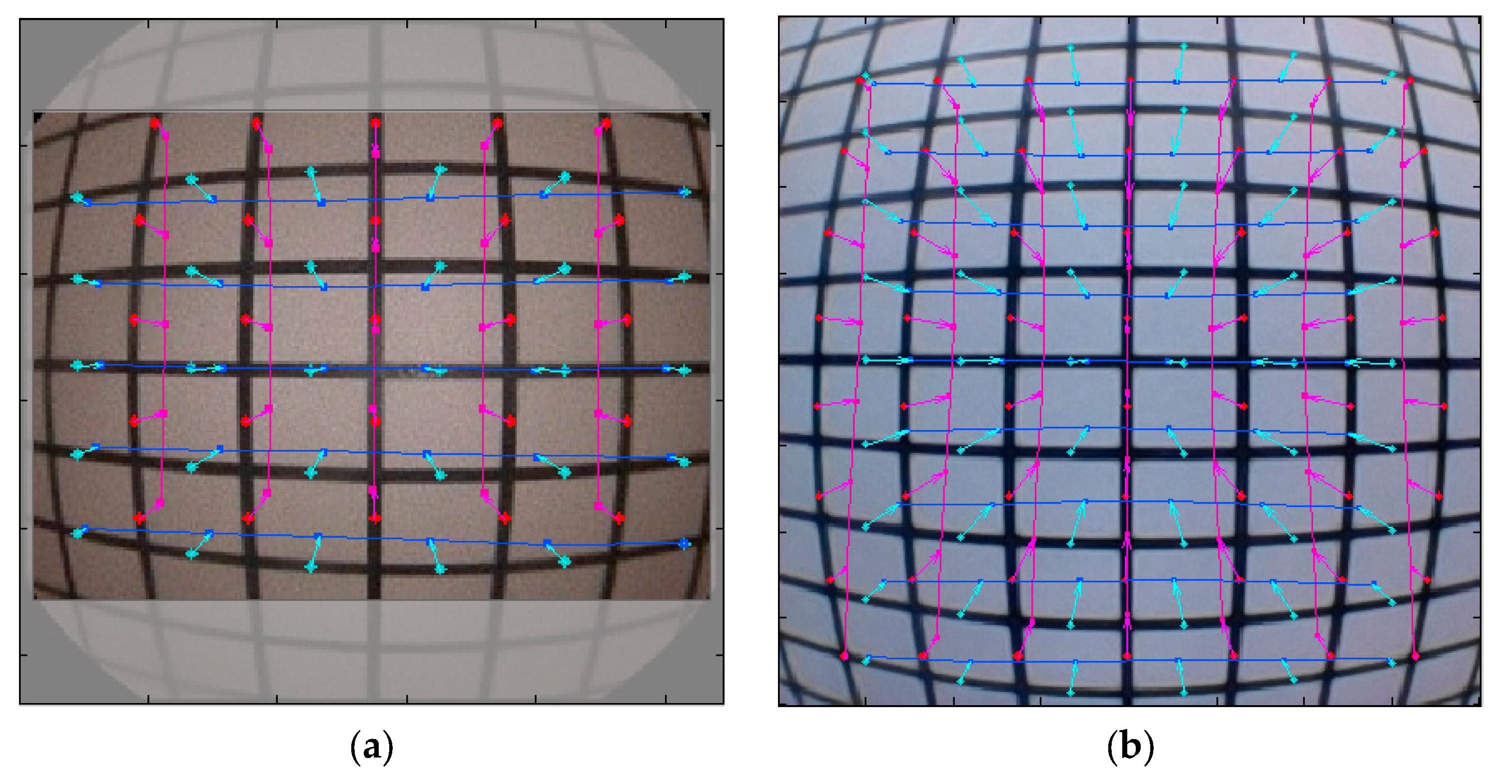 Bioengineering 12 00572 g009