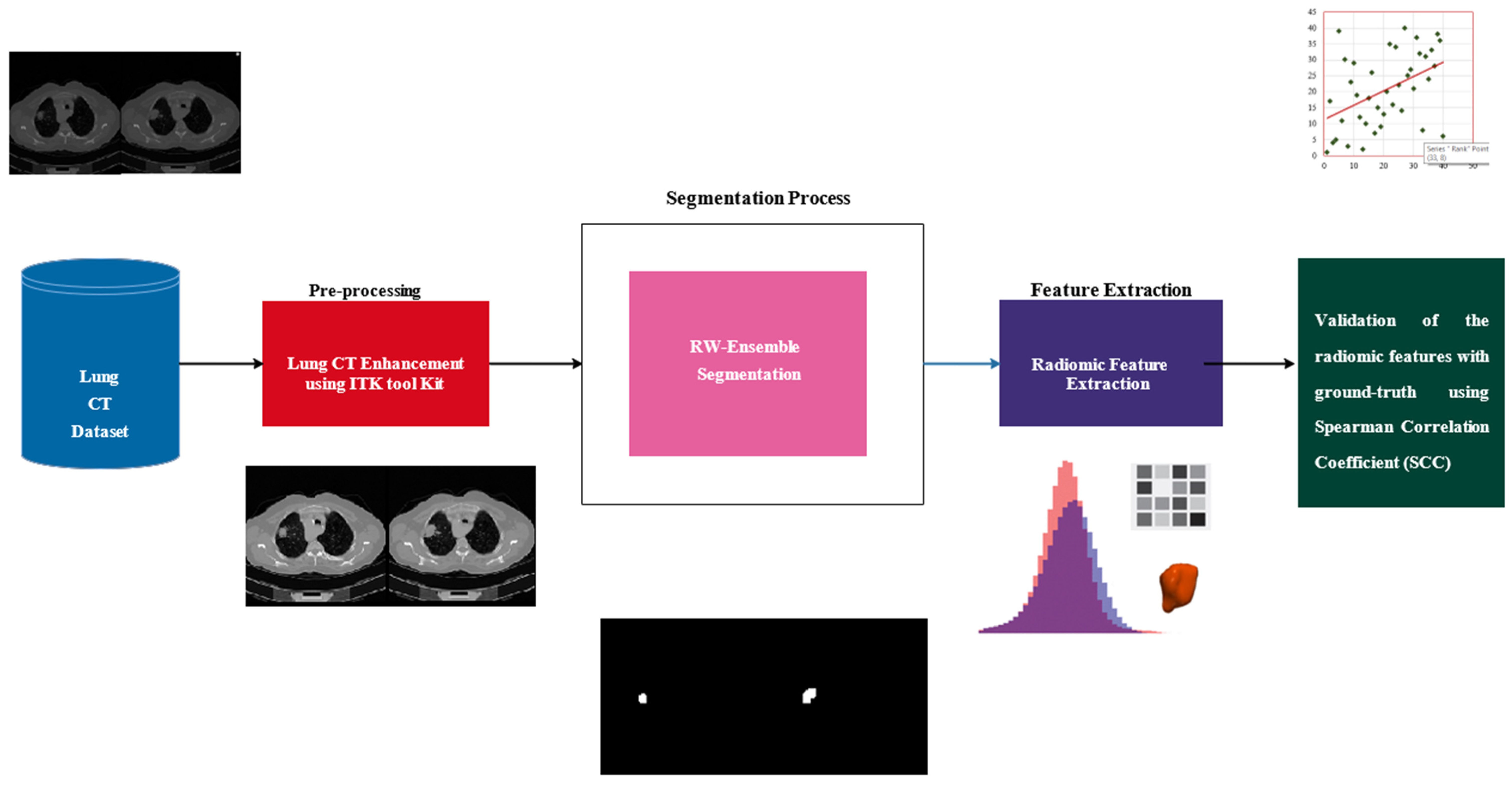 Bioengineering 12 00576 g002