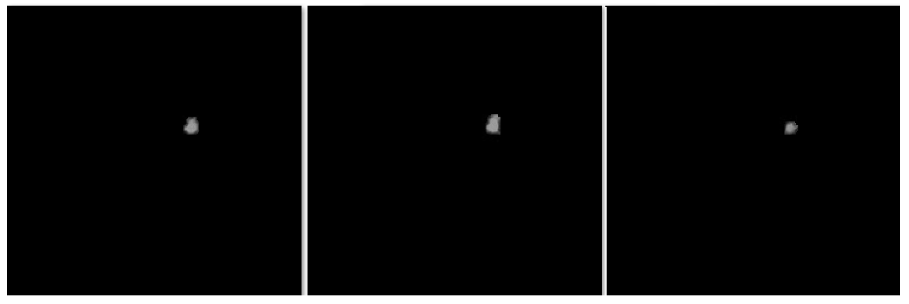 Bioengineering 12 00576 g007