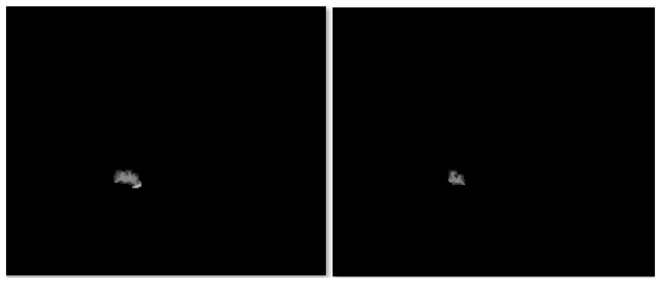 Bioengineering 12 00576 g009