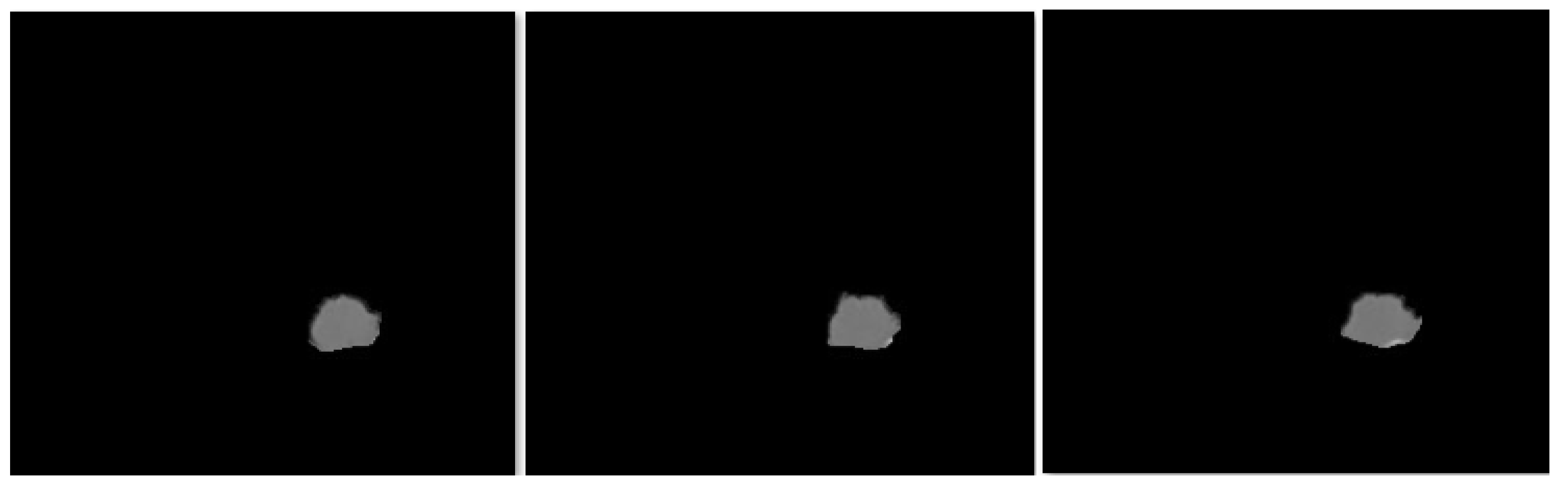 Bioengineering 12 00576 g011