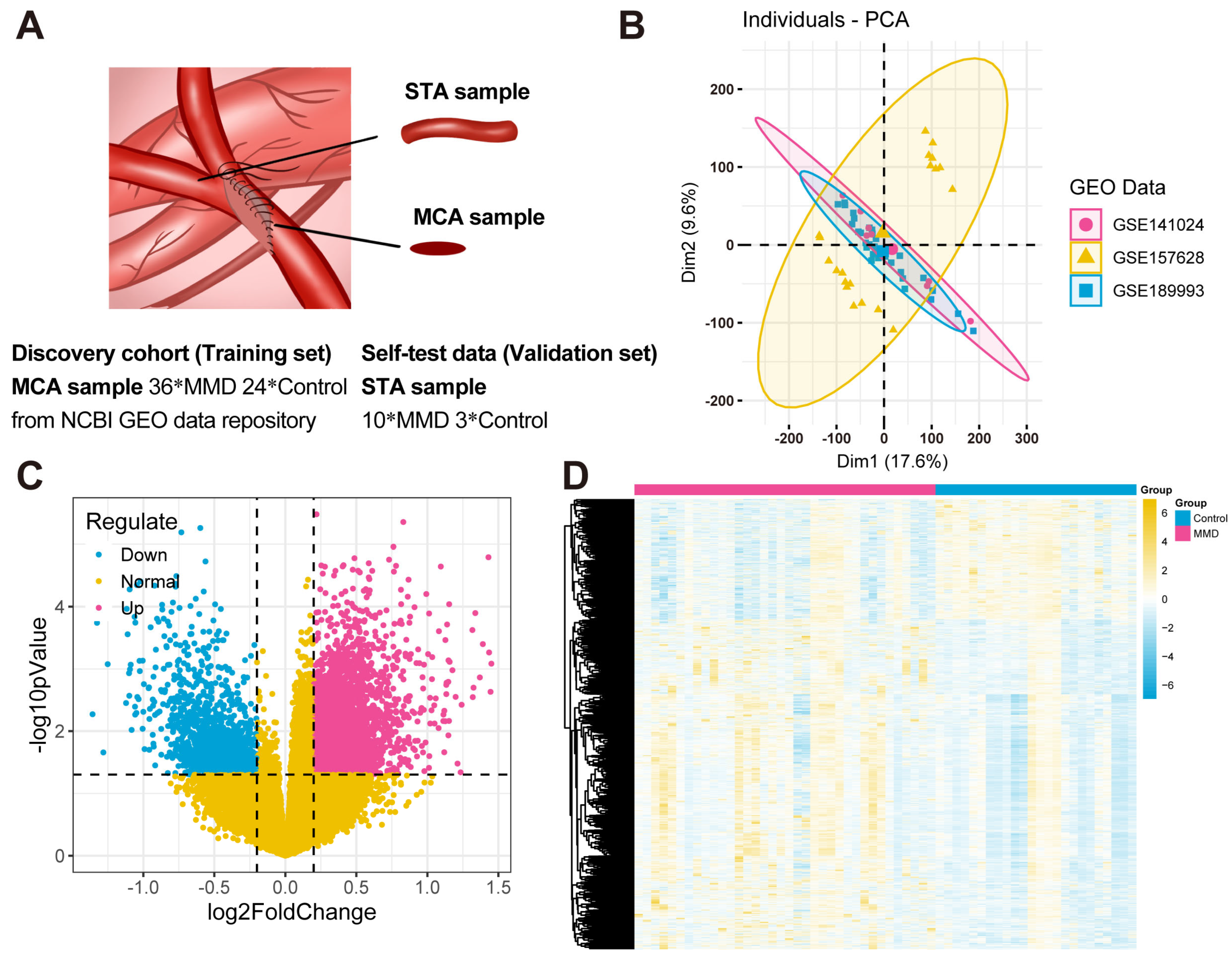 Bioengineering 12 00577 g001