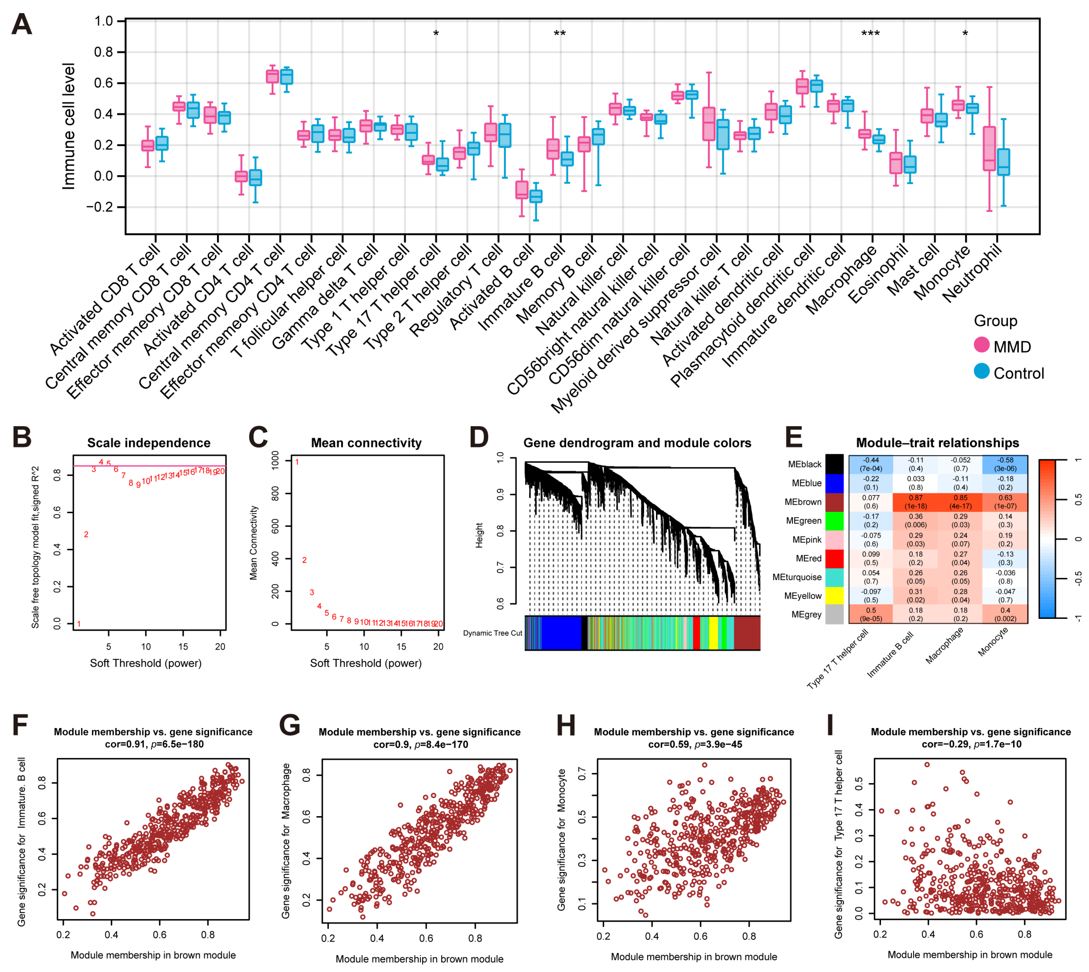 Bioengineering 12 00577 g002