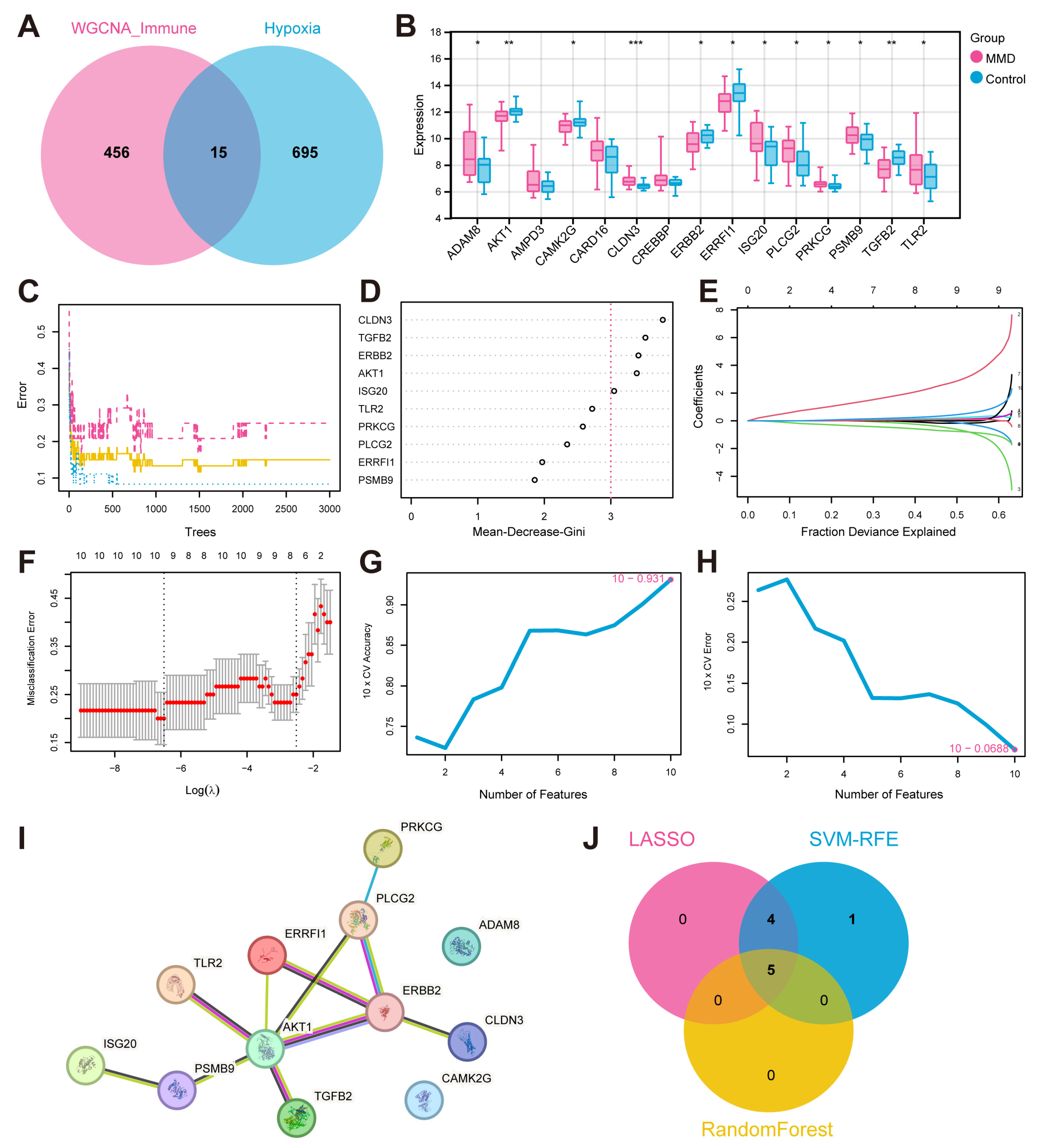 Bioengineering 12 00577 g003
