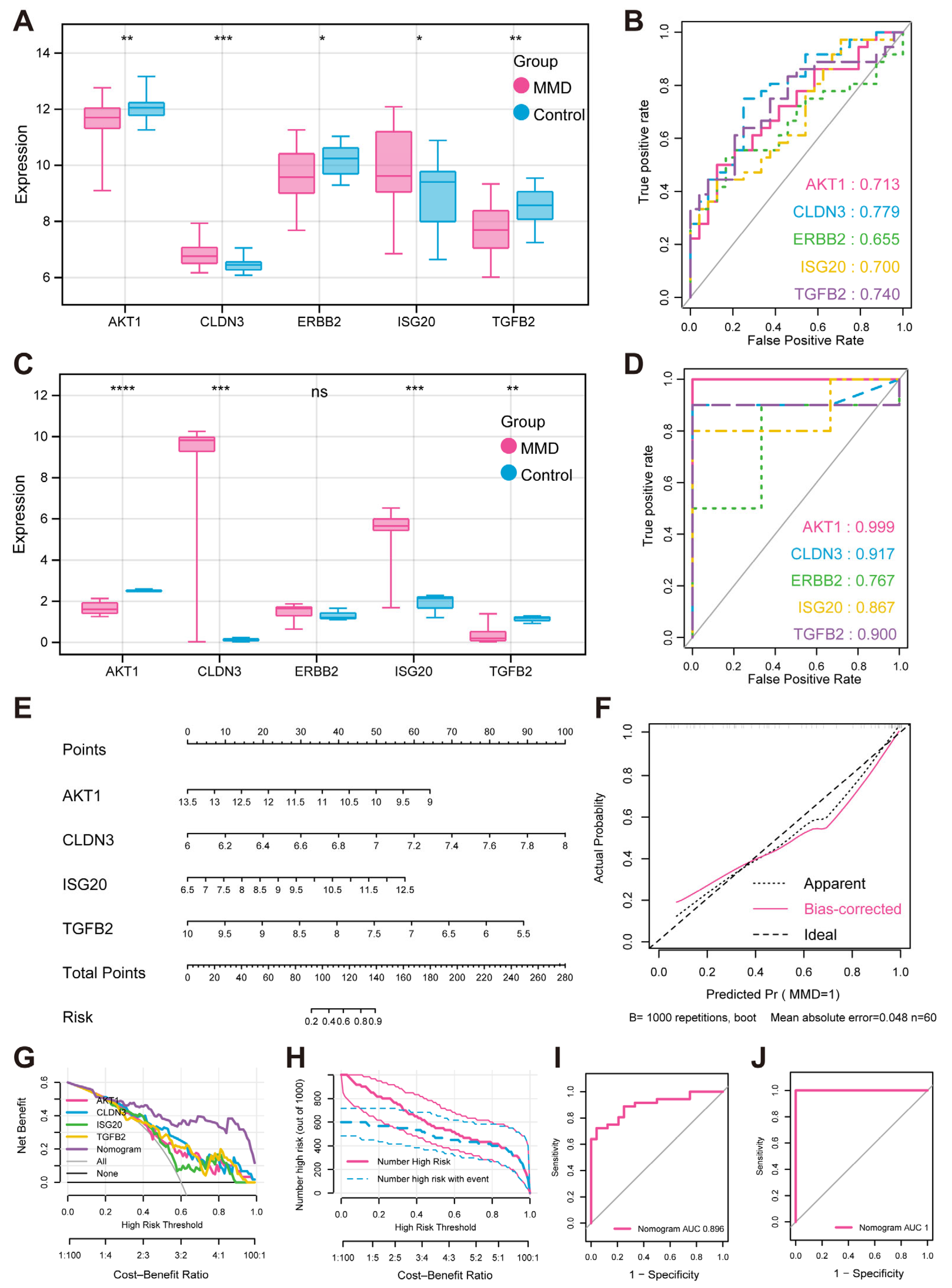 Bioengineering 12 00577 g004